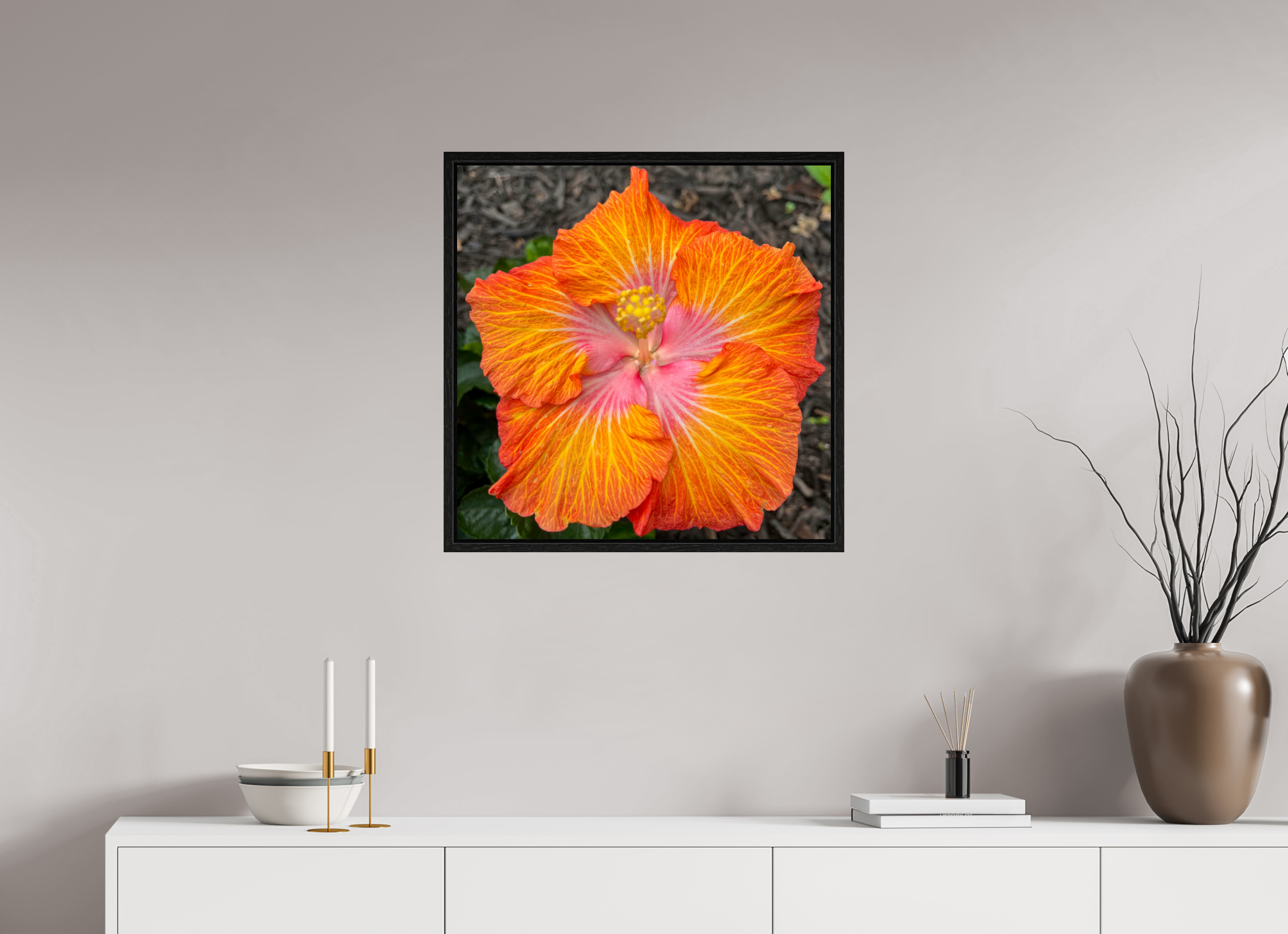Hibiscus hybrid_bright orange_aspect ratio 1:1