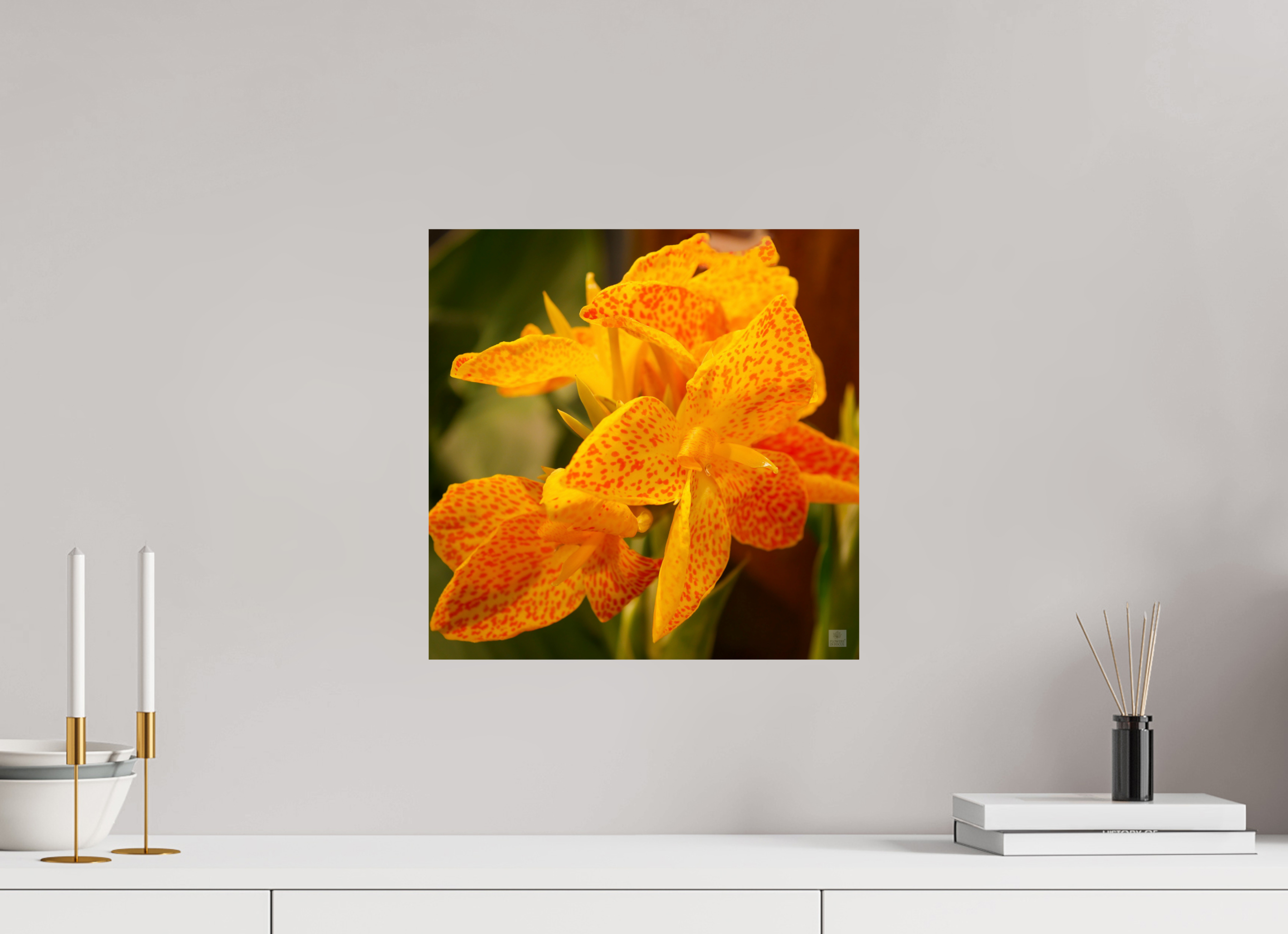 Canna lily_orange & yellow_aspect ratio 1:1