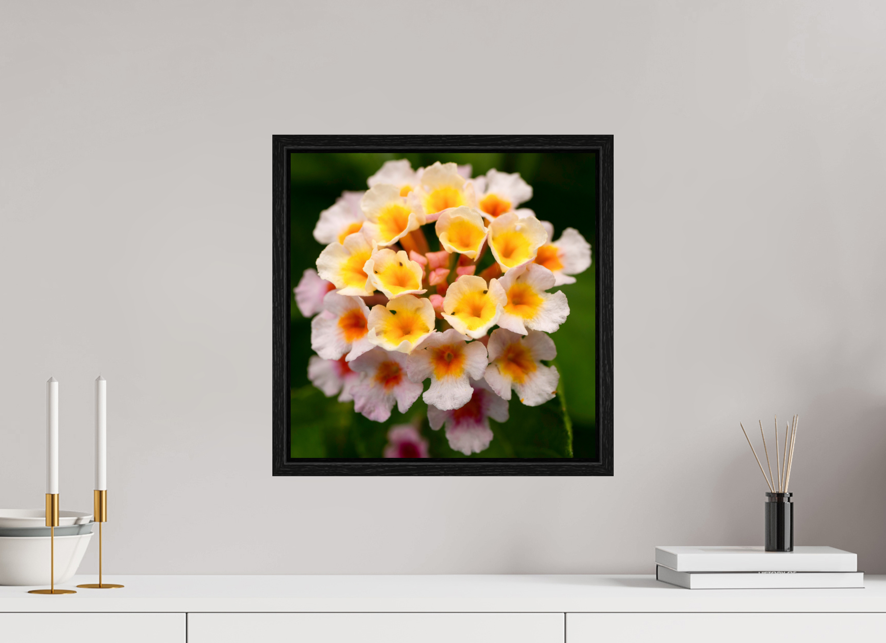 Lantana_light yellow with pale pink_aspect ratio 1x1
