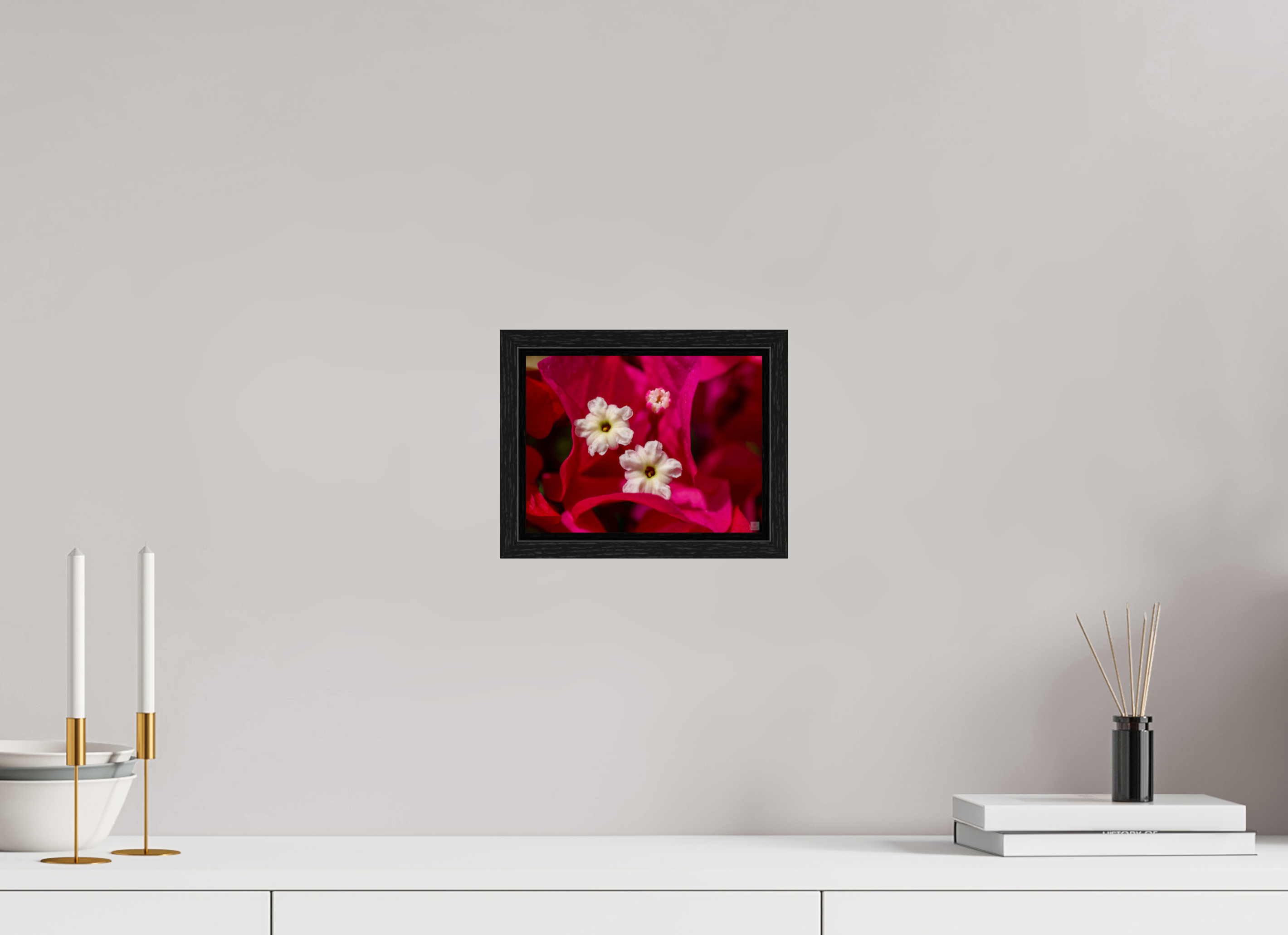 Bougainvillea_pink close-up_aspect ratio 4:3
