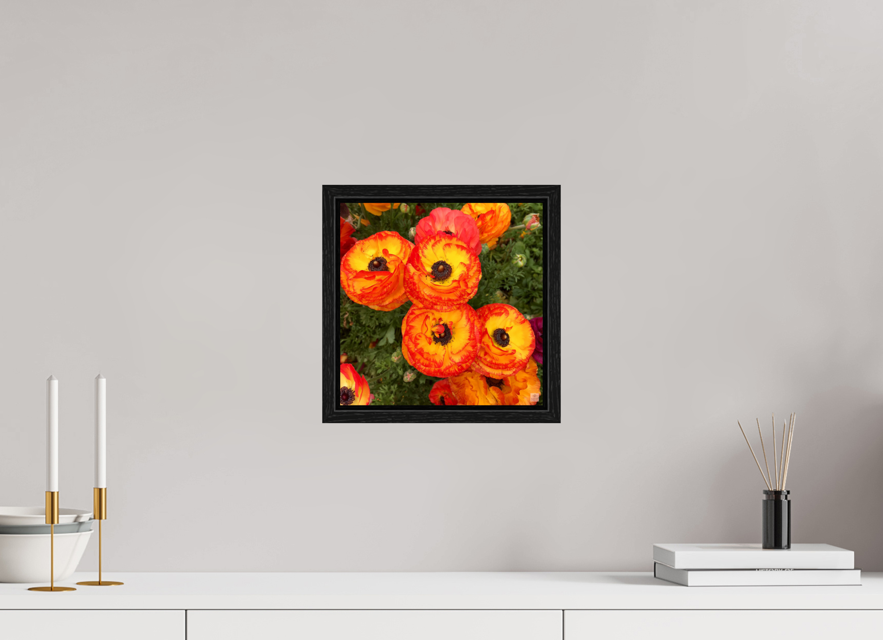 Ranunculus_bright orange_flower group_aspect ratio is 1:1