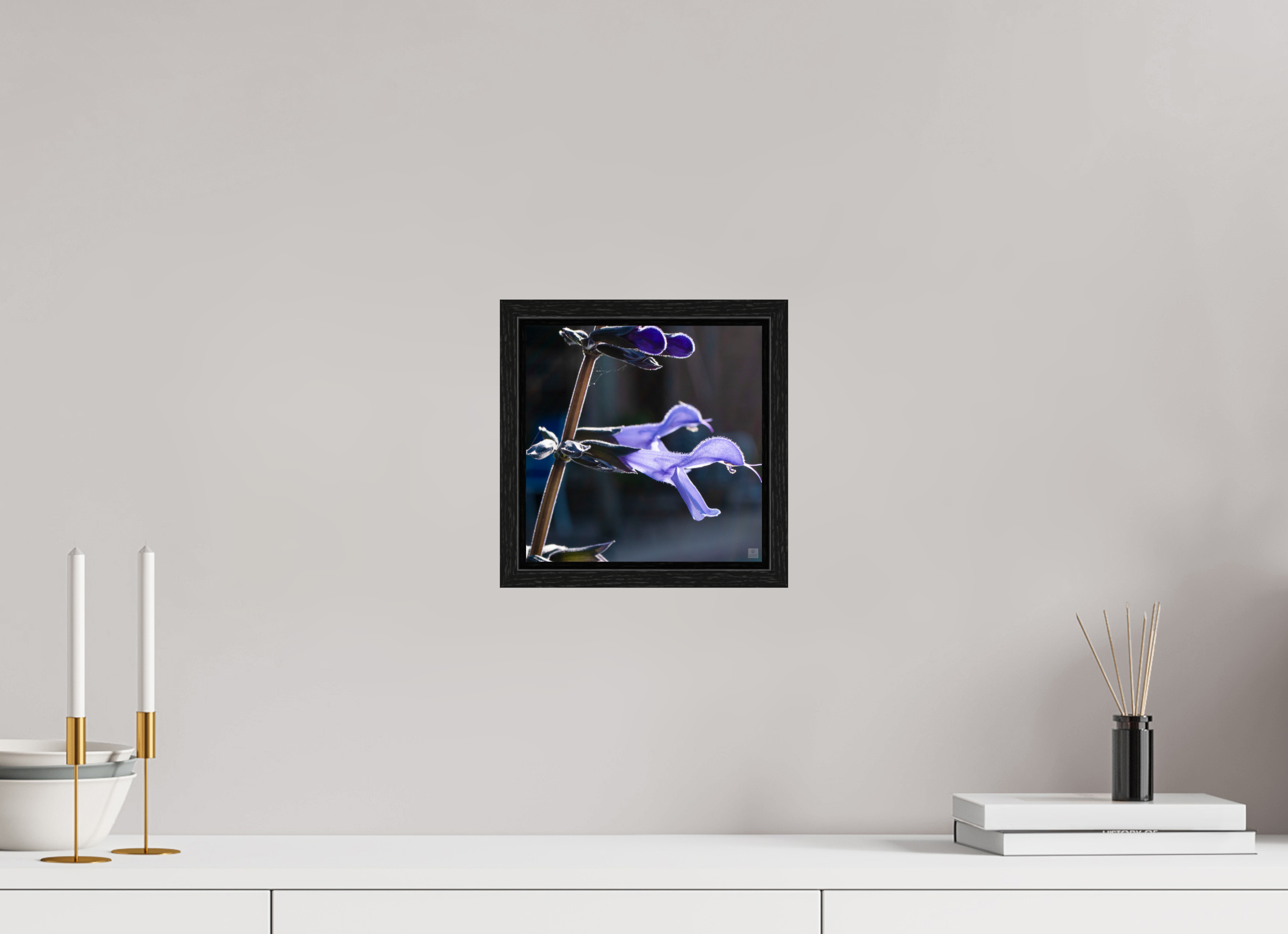 Blue black sage_group_aspect ratio 1x1