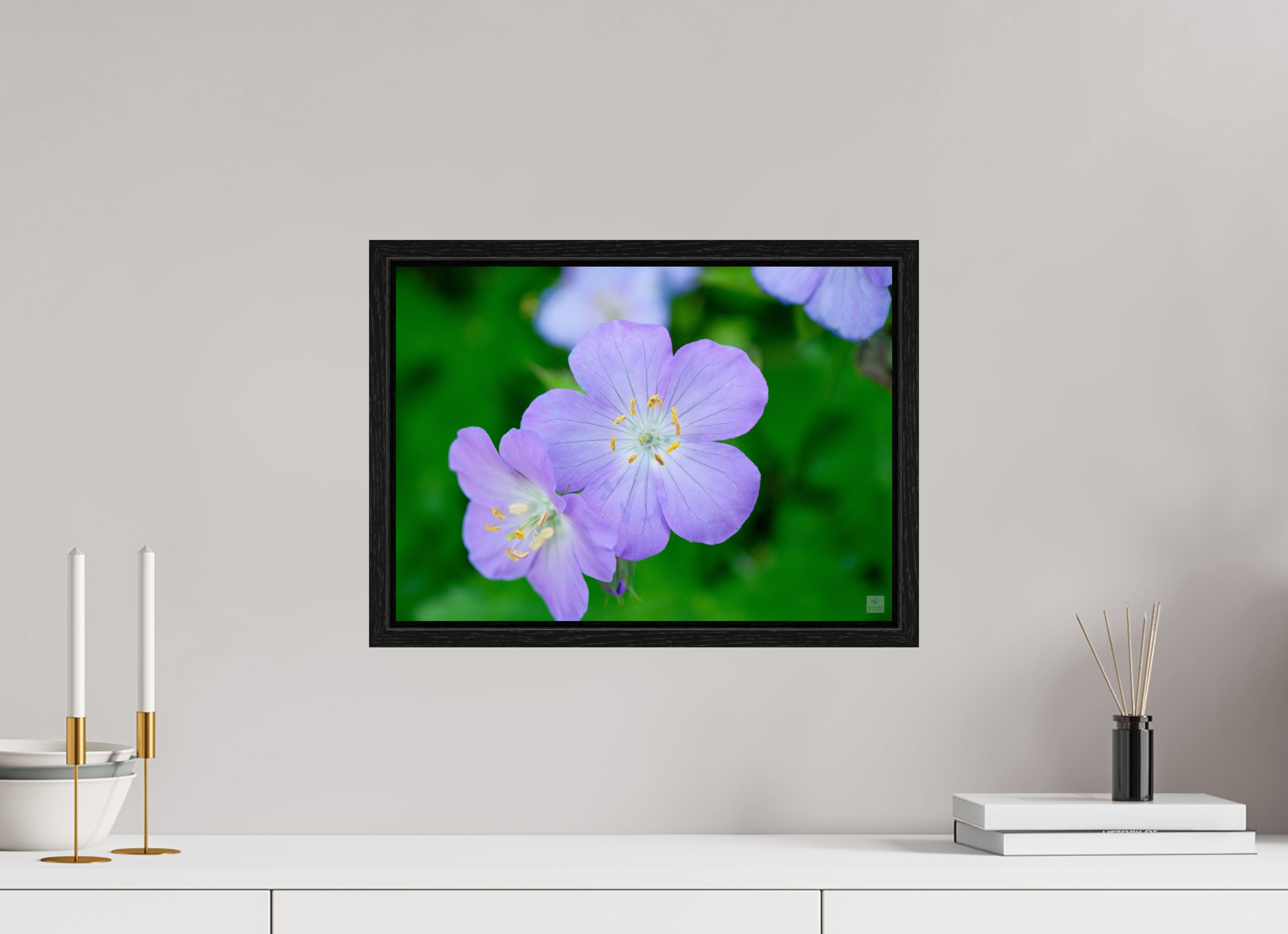 Hardy Geranium_Cranesbill_aspect ratio 7:5