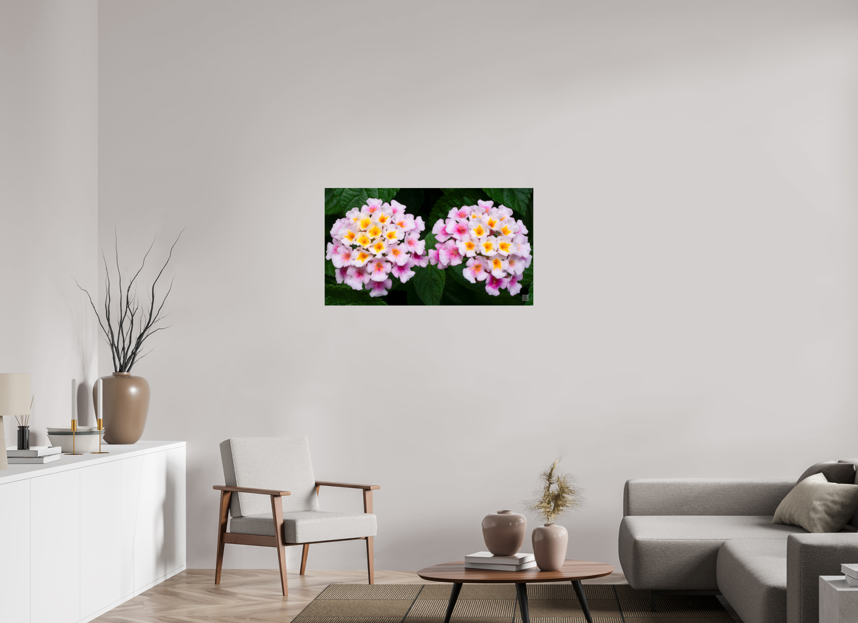 Lantana_double pink with white yellow_aspect ratio 16x9