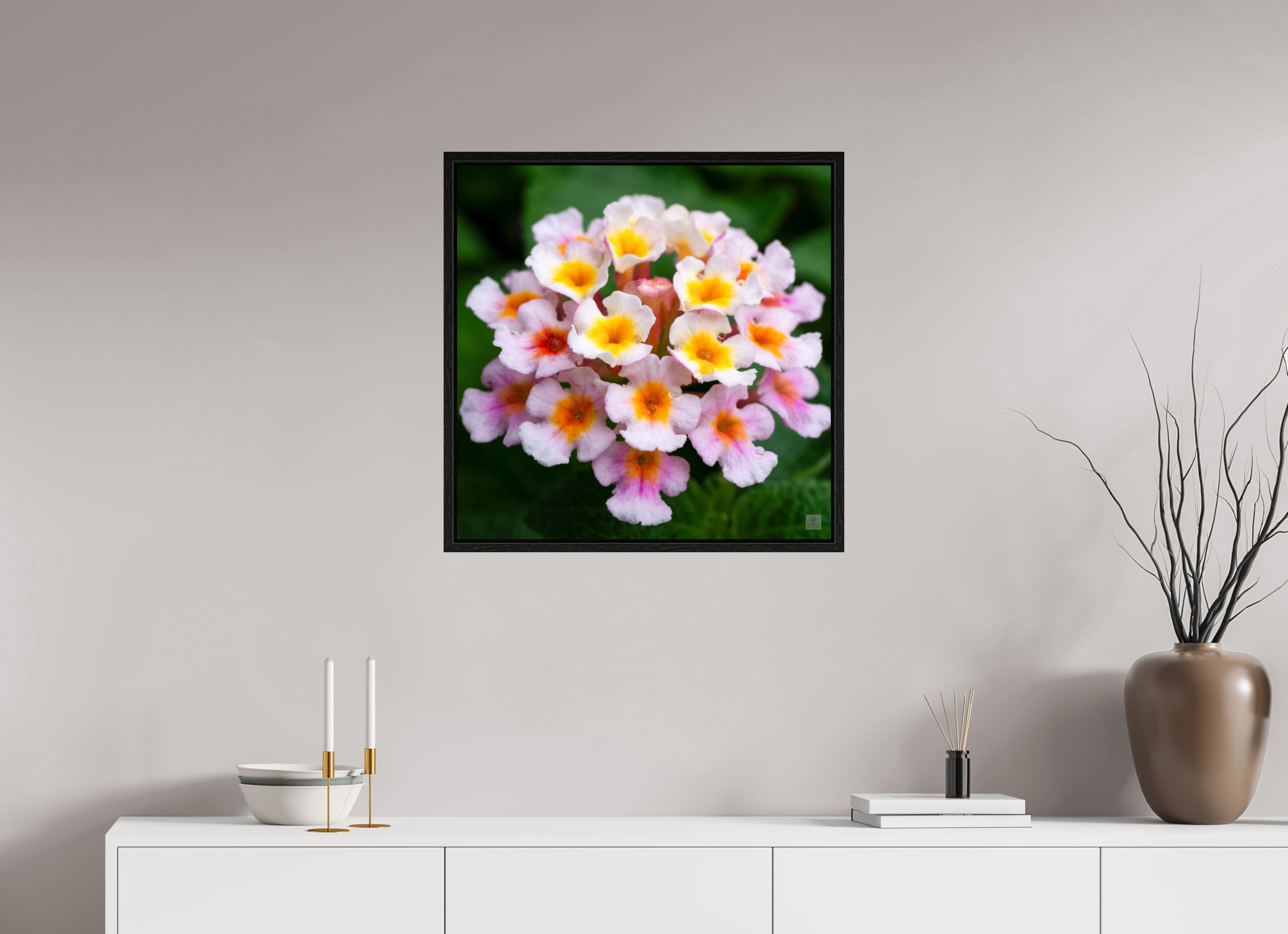 Lantana_pink with yellow (water droplets)_aspect ratio 1x1