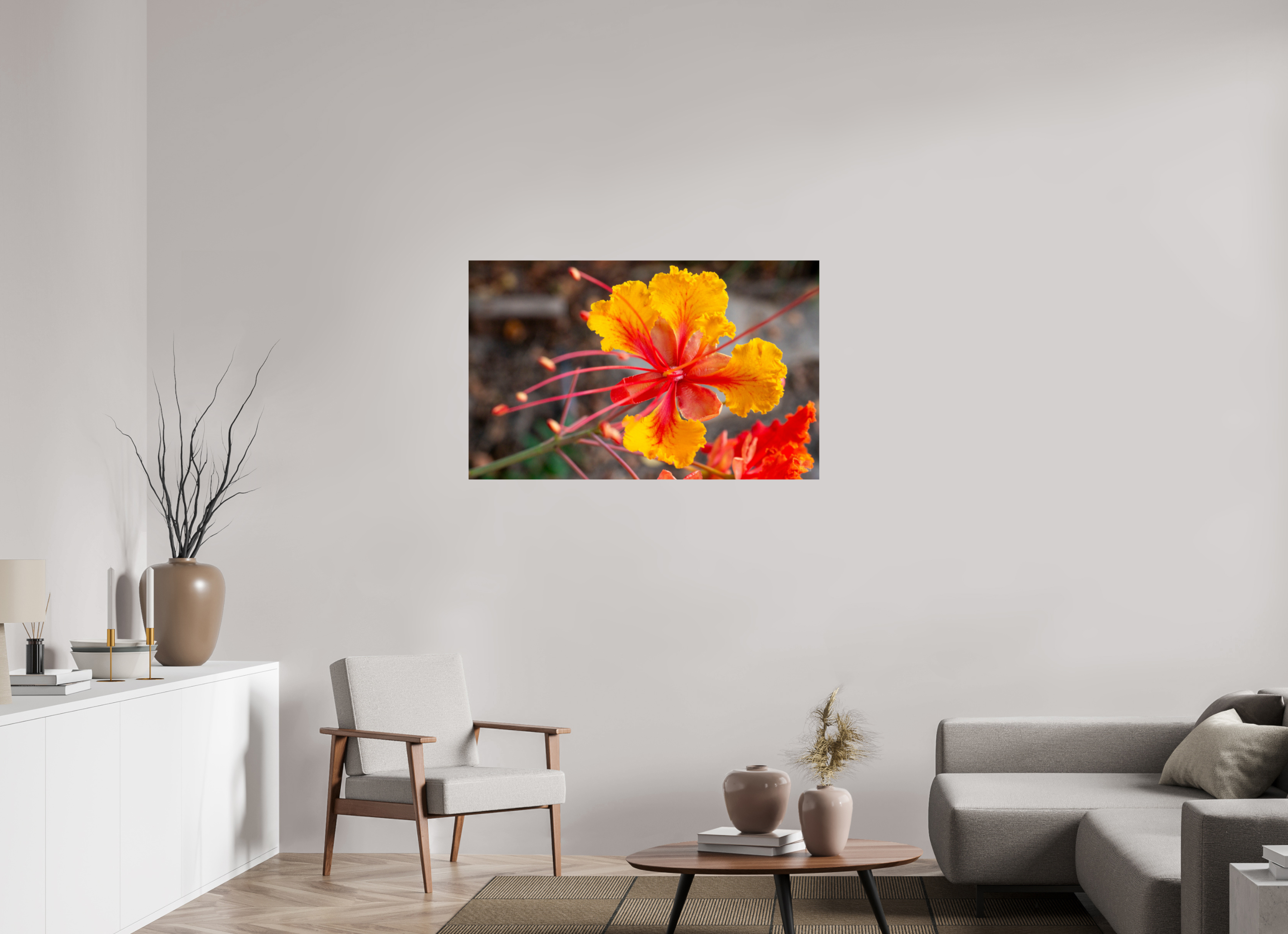 Pride of Barbados_yellow with orange_aspect ratio 16x10