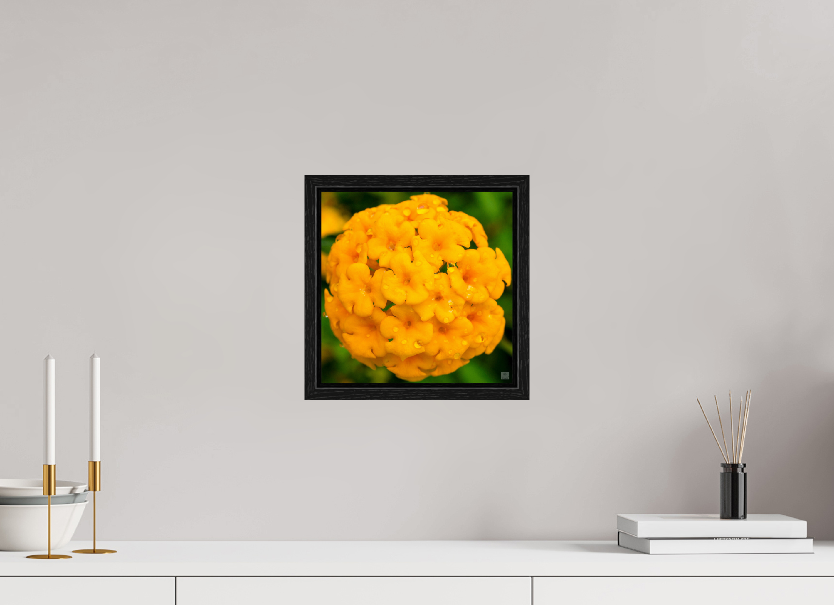 Lantana hybrid_yellow (with water droplets)_aspect ration 1x1