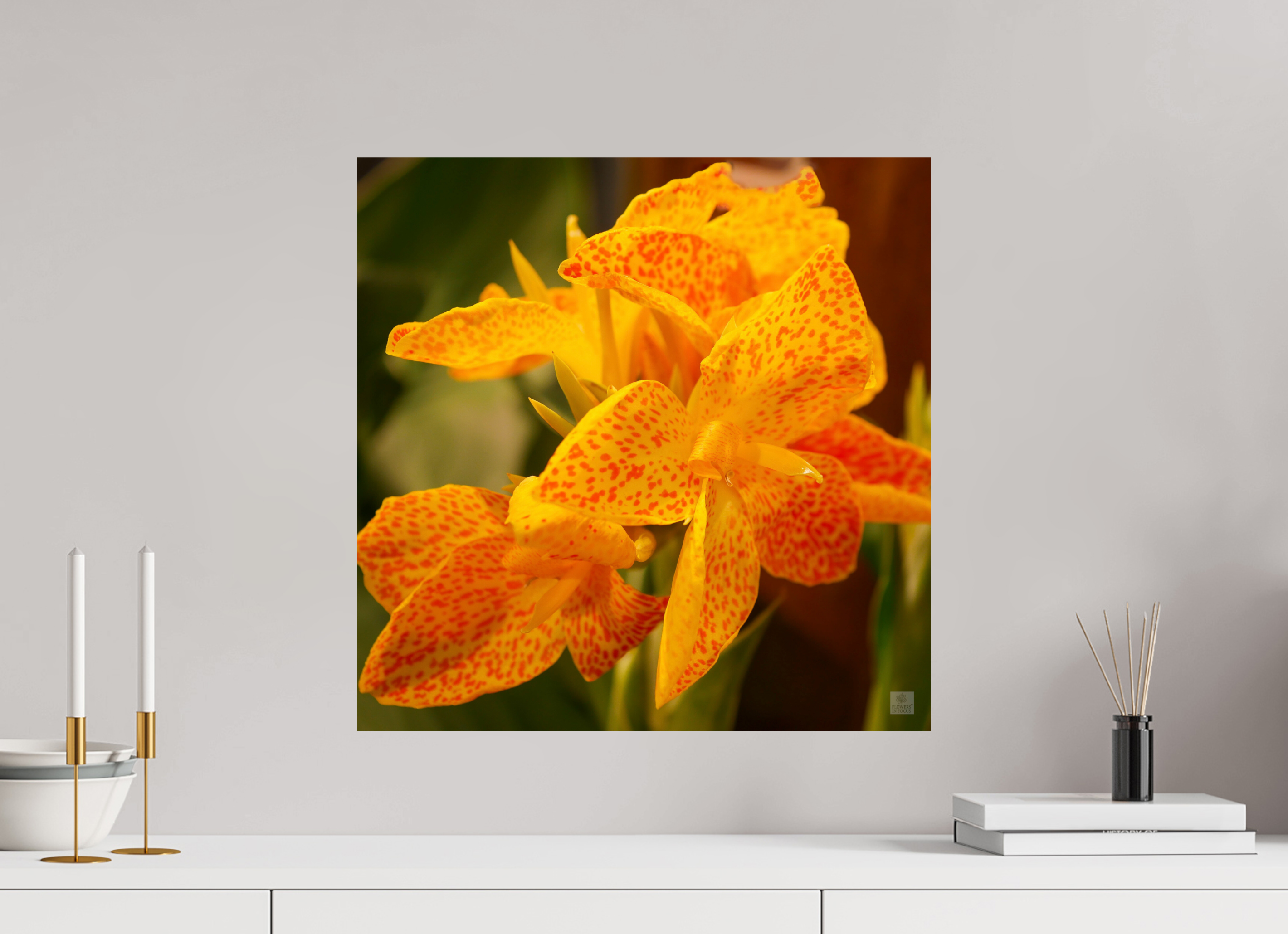 Canna lily_orange & yellow_aspect ratio 1:1