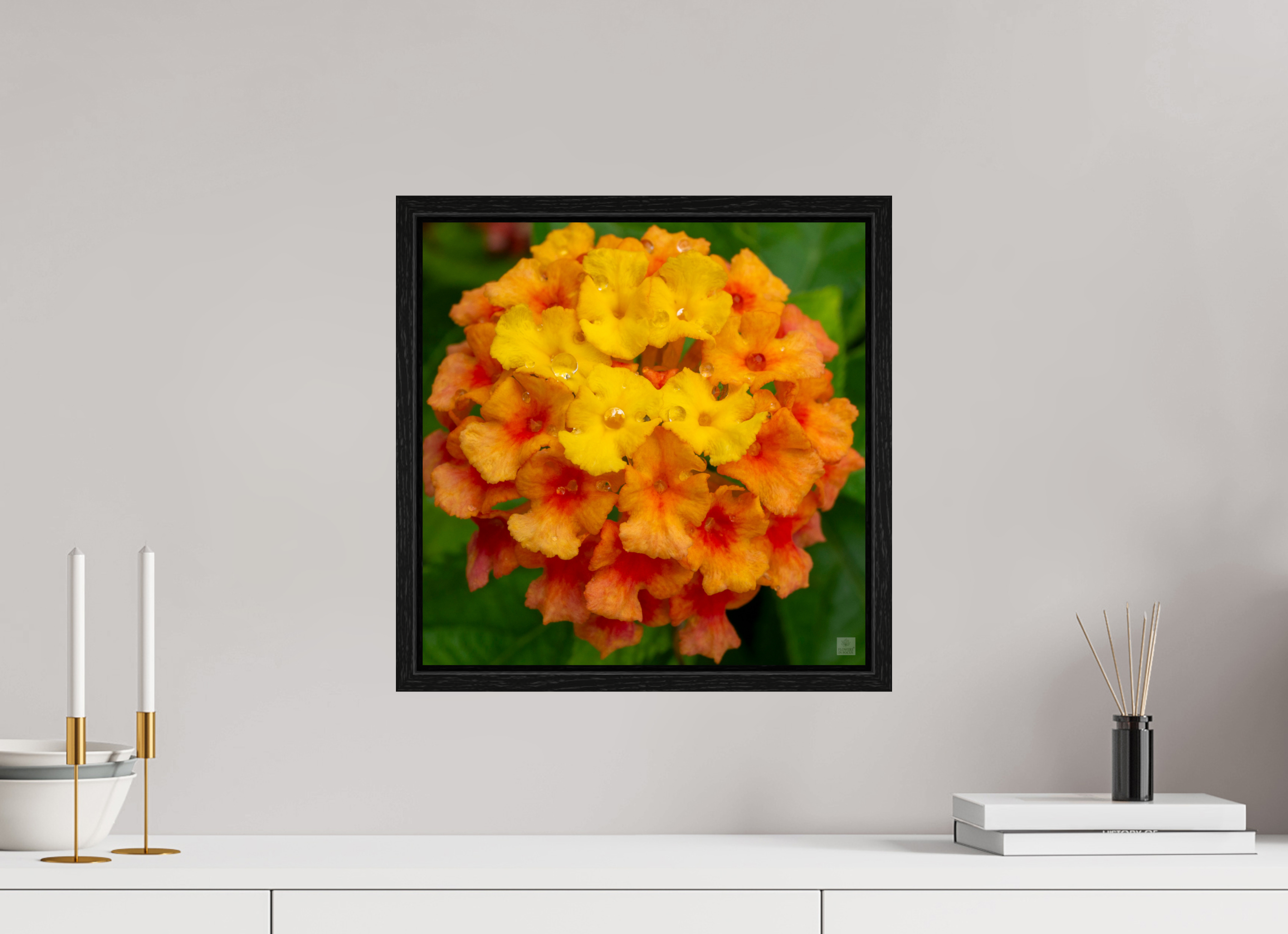 Lantana_orange with yellow (water droplets)_aspect ratio 1x1
