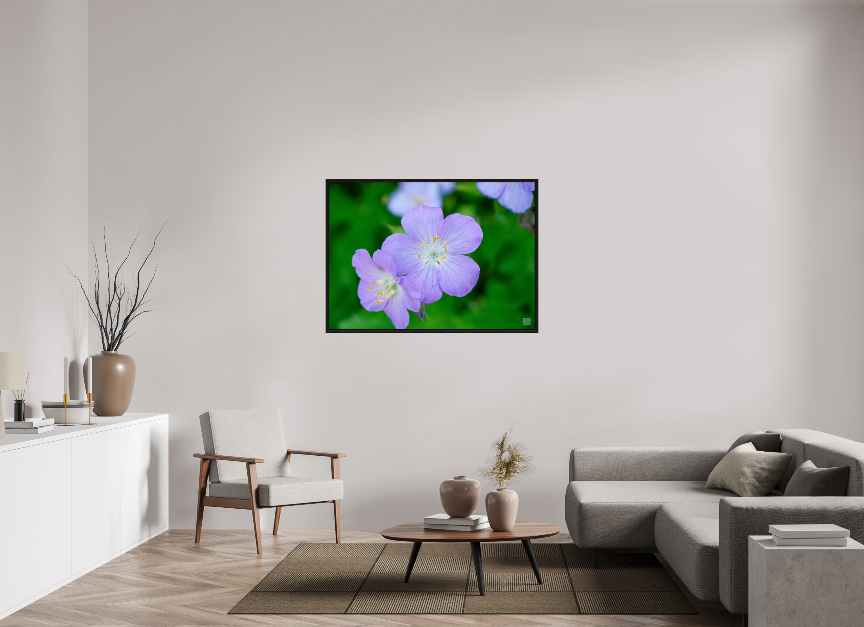 Hardy Geranium_Cranesbill_aspect ratio 7:5