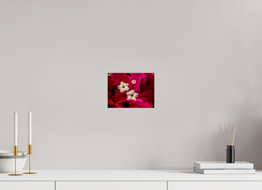 Bougainvillea_pink close-up_aspect ratio 4:3
