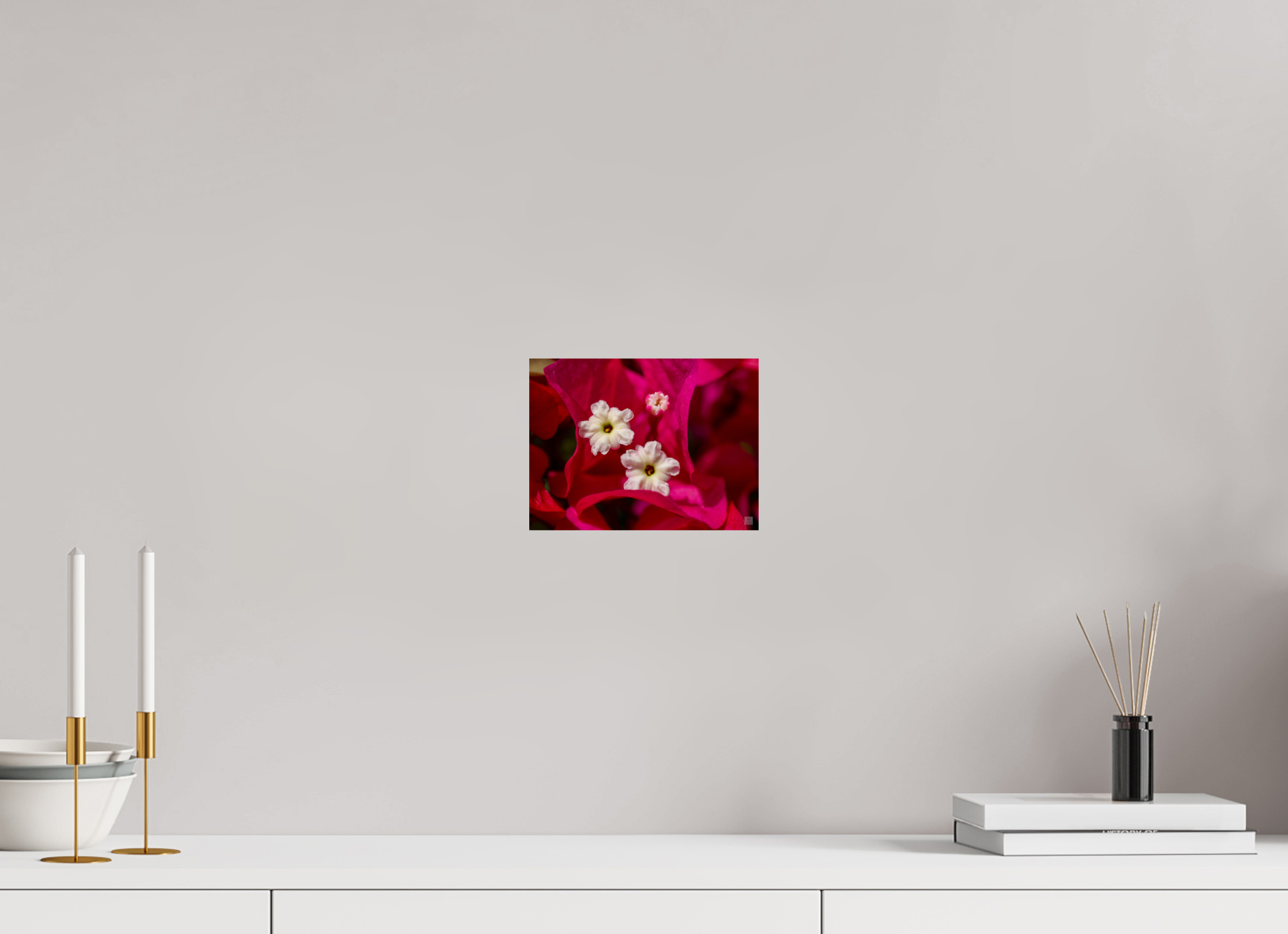 Bougainvillea_pink close-up_aspect ratio 4:3
