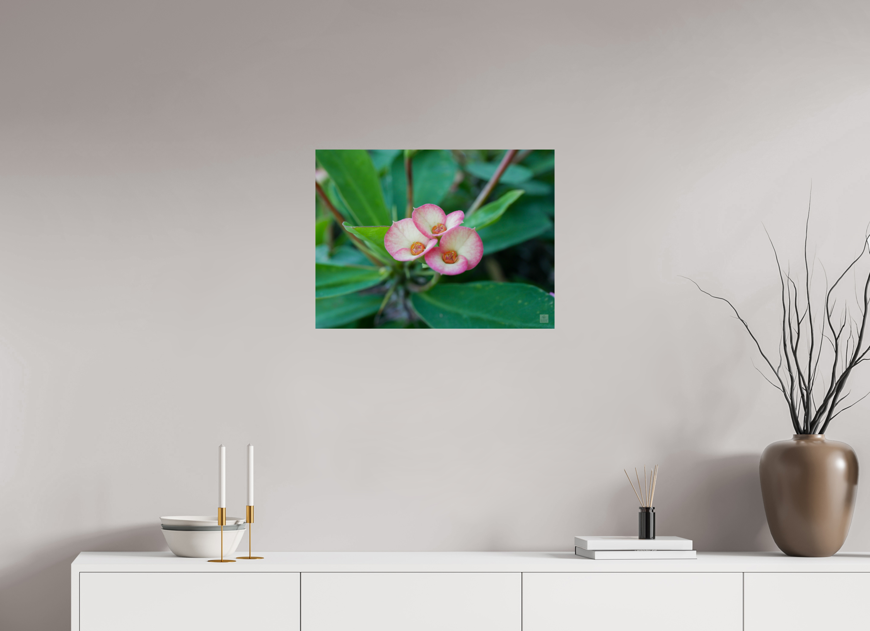 Crown of Thorns_pink fringe_aspect ratio 4:3