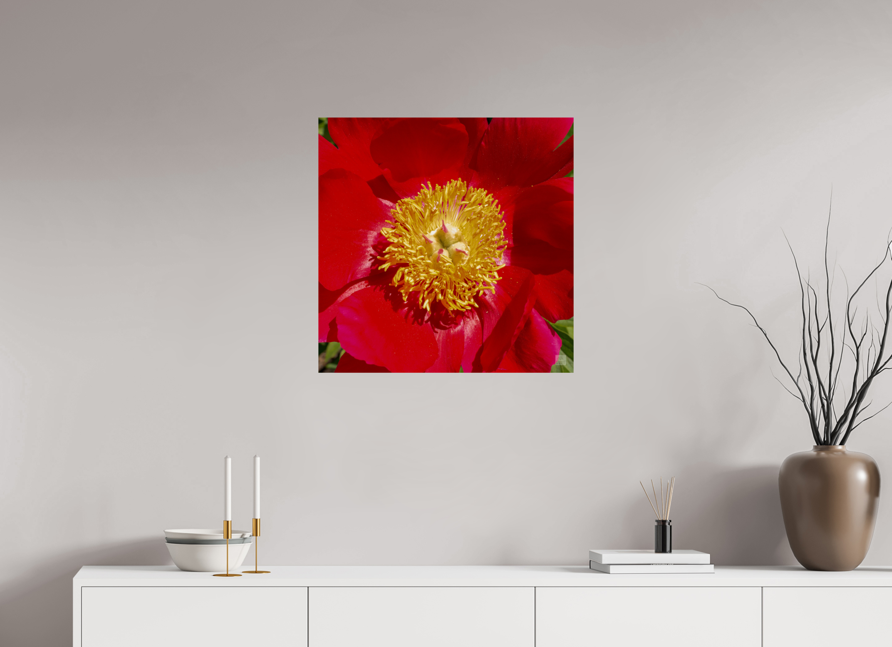 Peony_red close up_aspect ratio 1x1