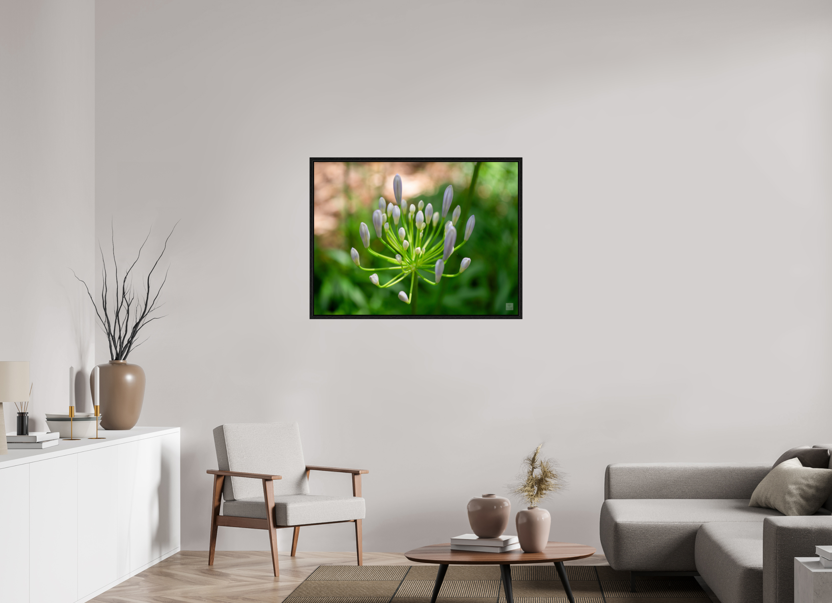 Dwarf Blue Agapanthus_aspect ratio 4x3