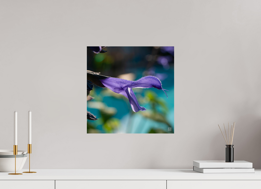 Blue black sage_single_aspect ratio 1x1