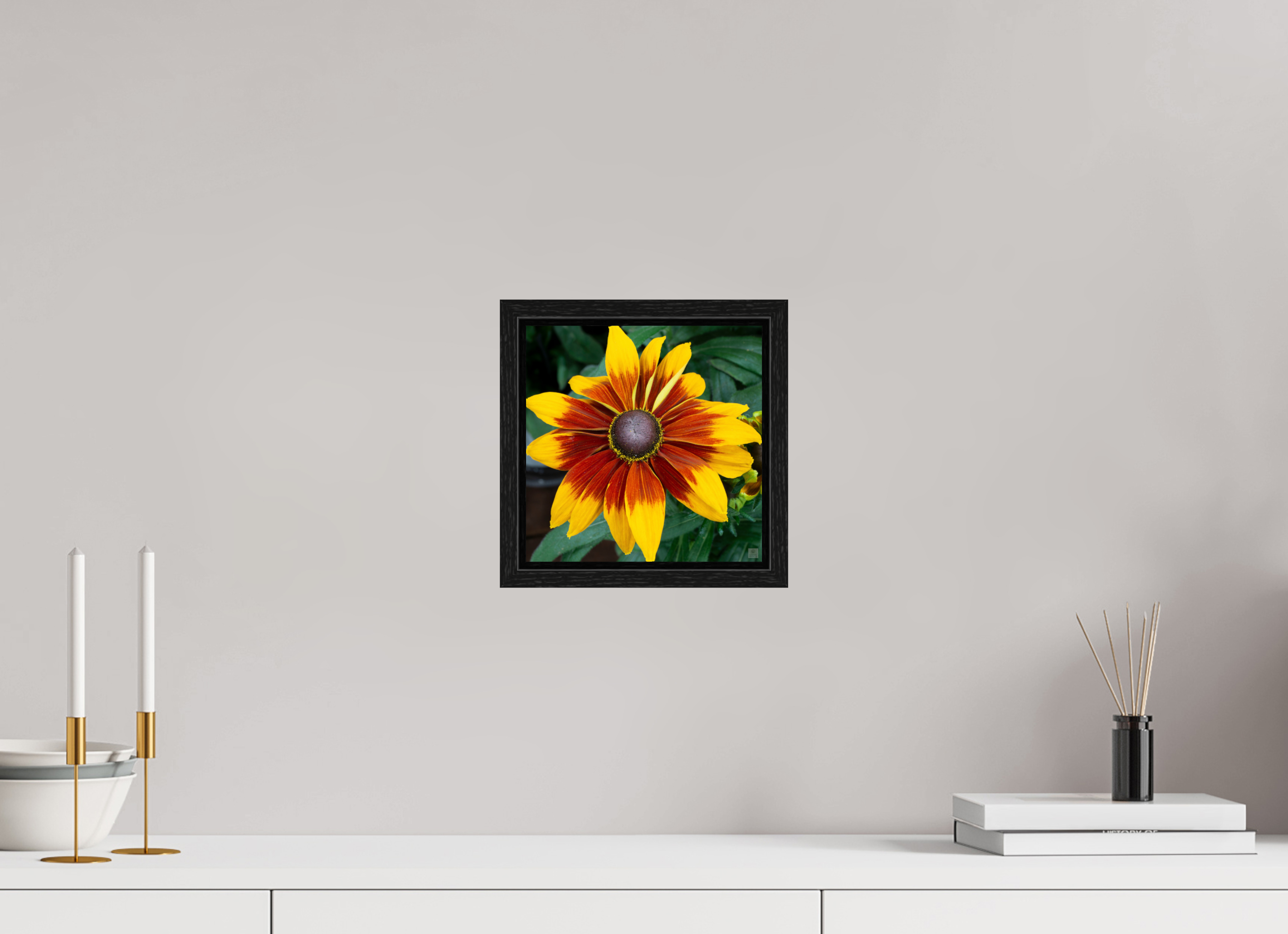 Rudbeckia_yellow with red center_aspect ratio 1x1