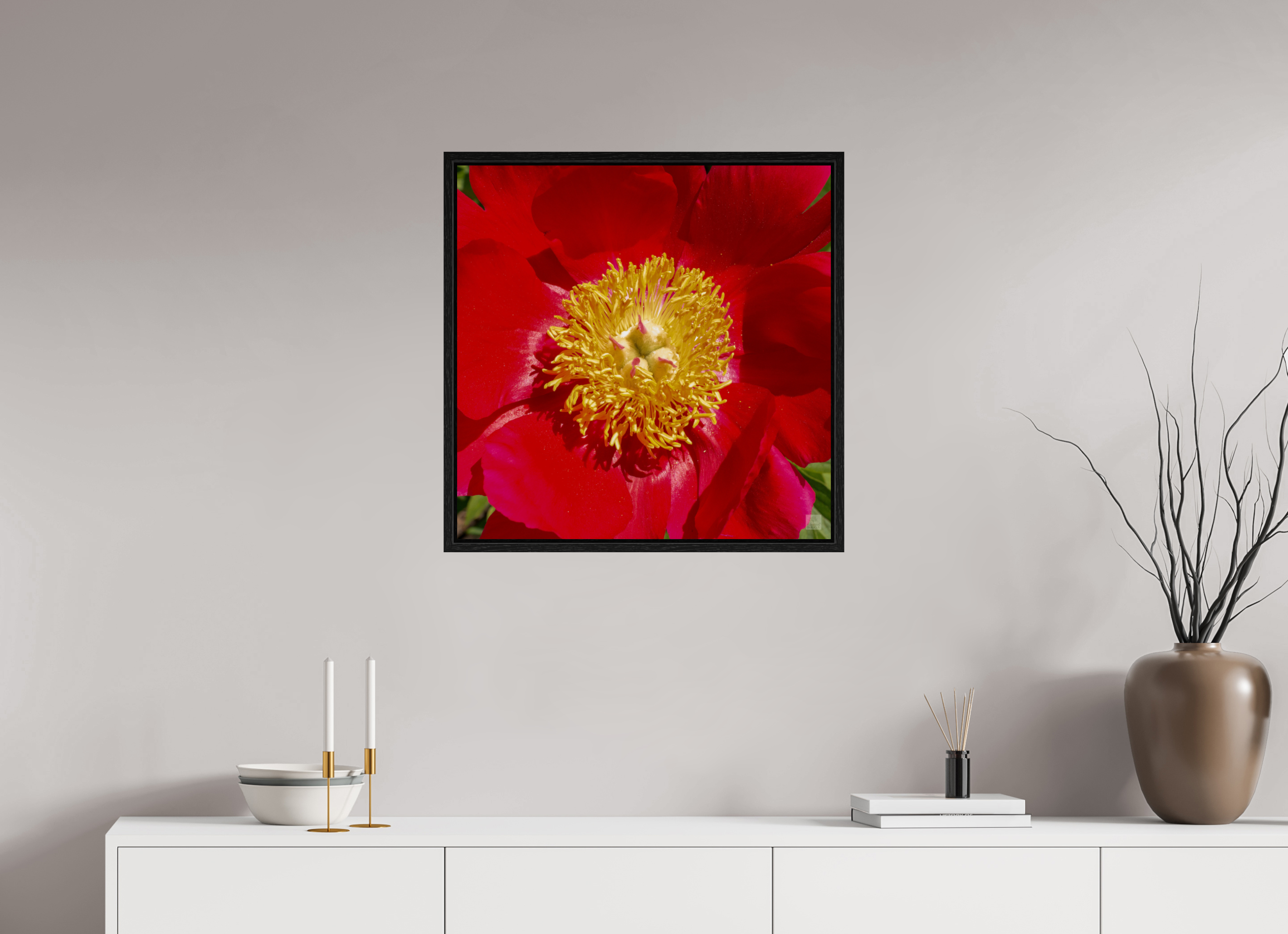 Peony_red close up_aspect ratio 1x1