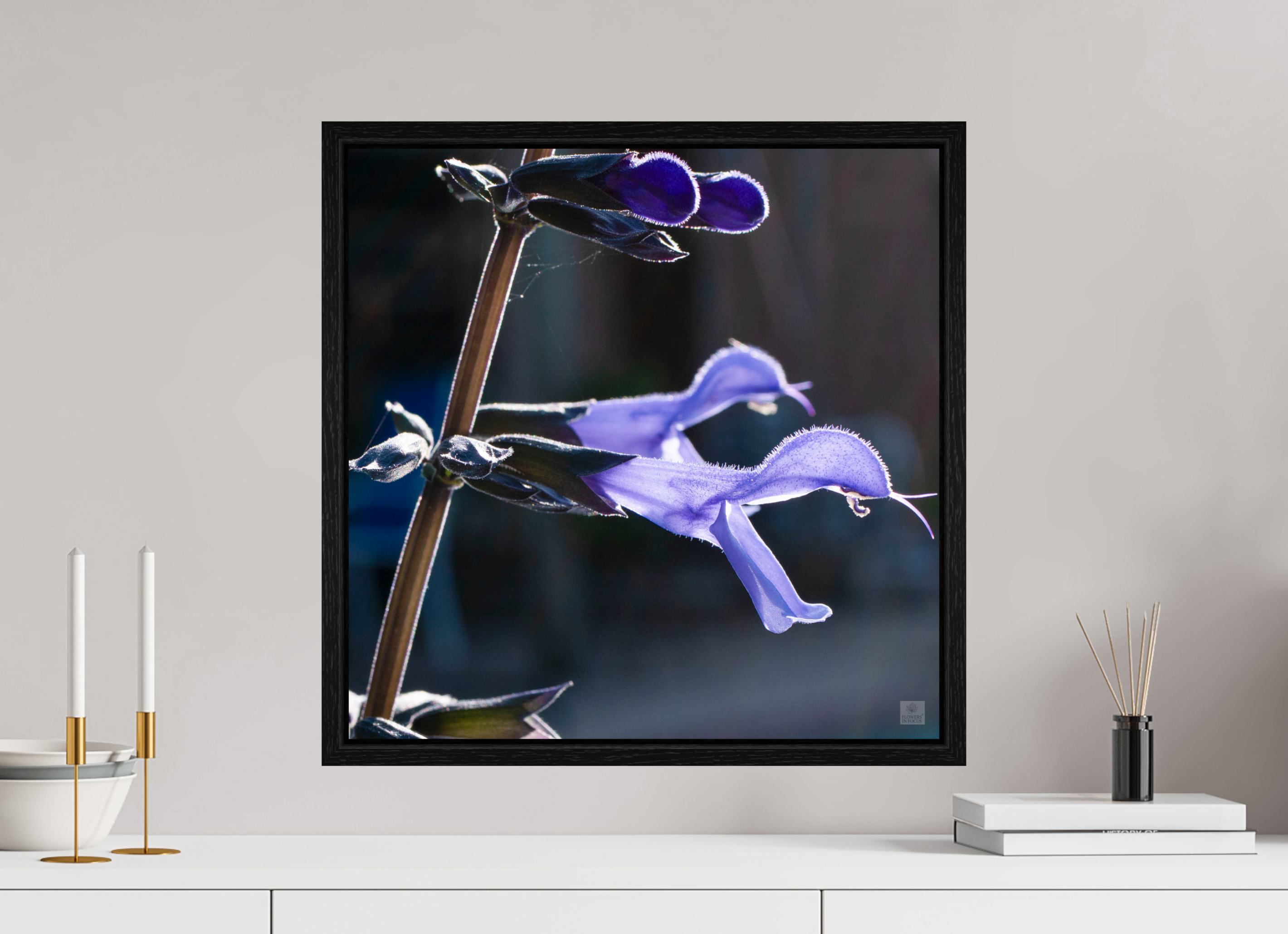Blue black sage_group_aspect ratio 1x1