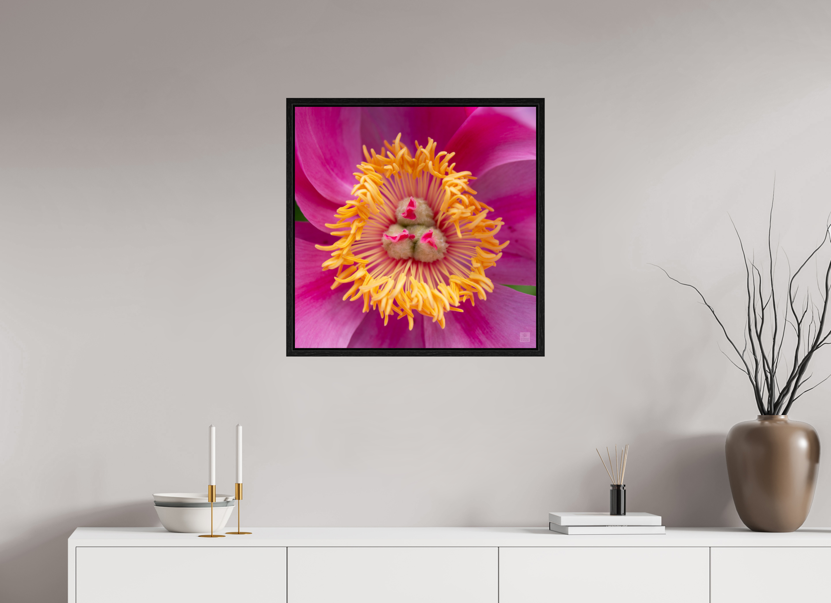 Peony_pink_center-2_aspect ratio 1x1