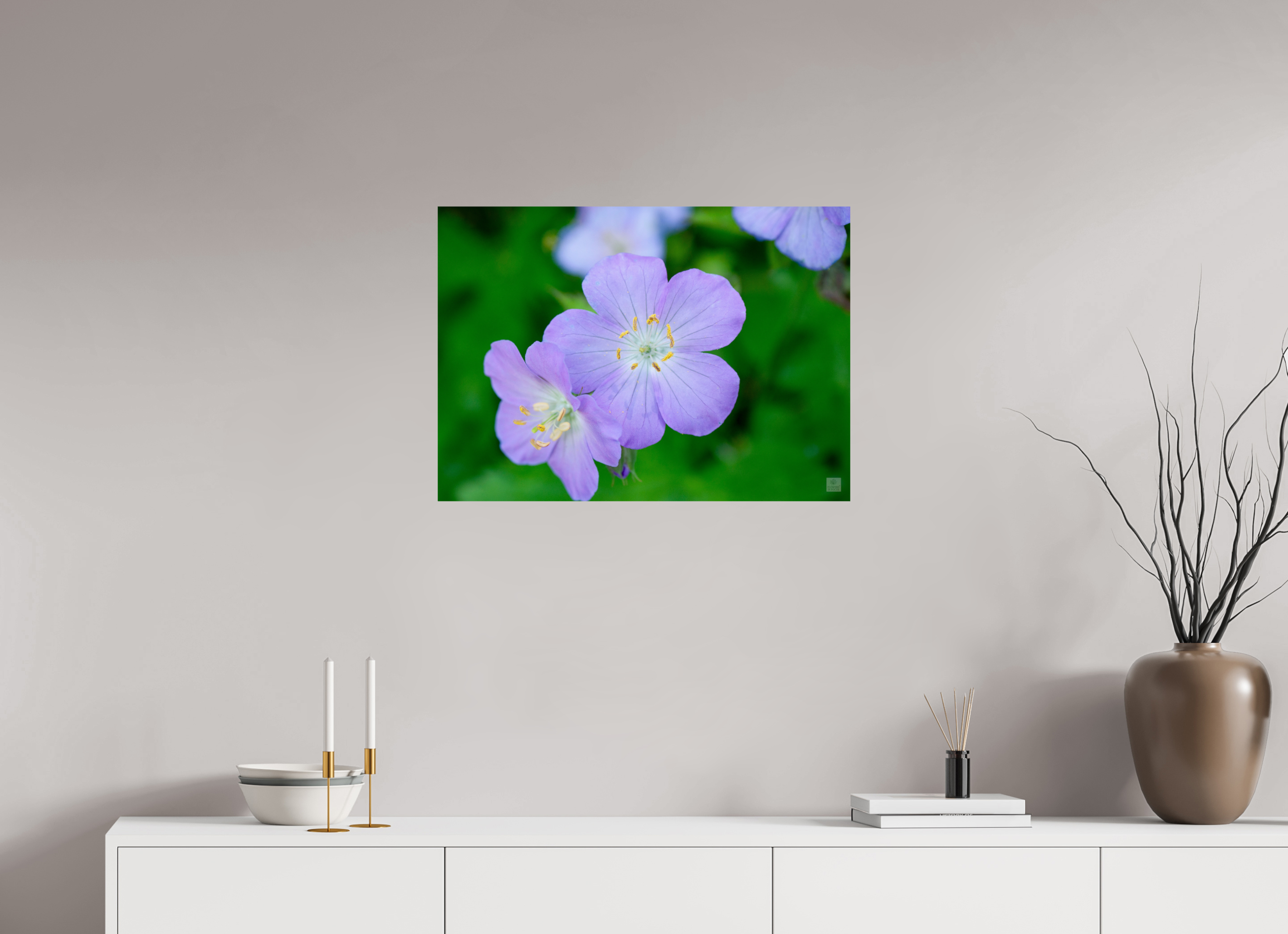 Hardy Geranium_Cranesbill_aspect ratio 7:5