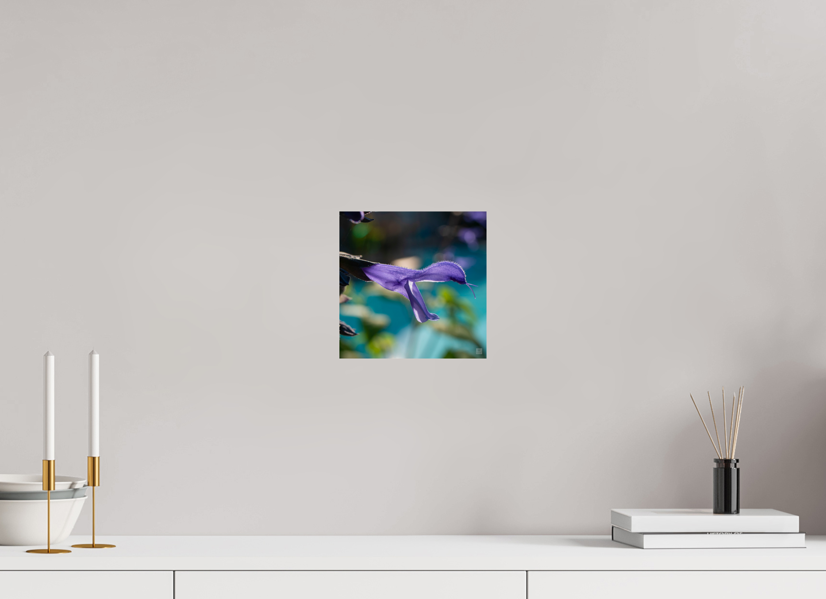 Blue black sage_single_aspect ratio 1x1