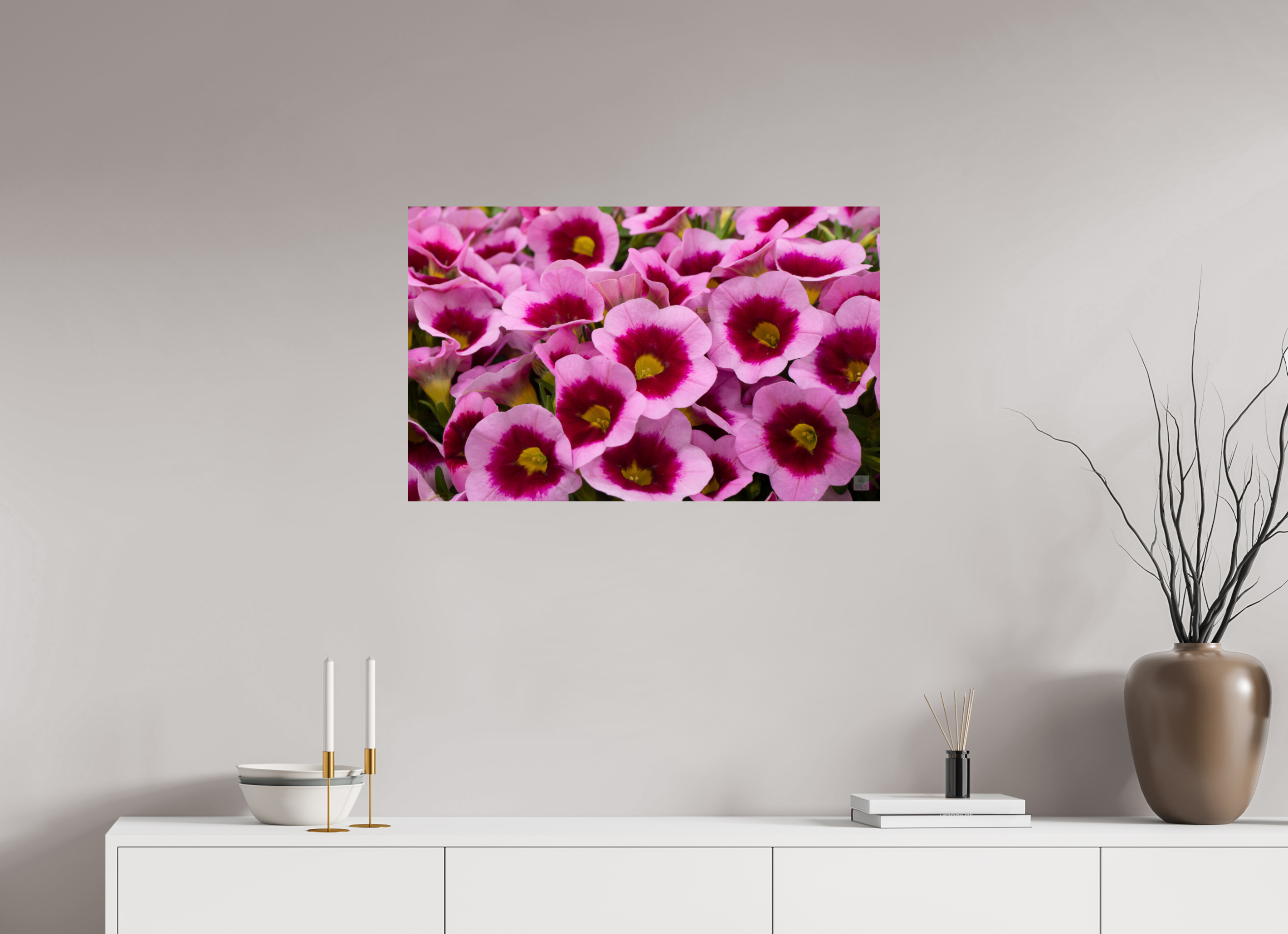 Calibrachoa_pink & purple_aspect ratio 16:10
