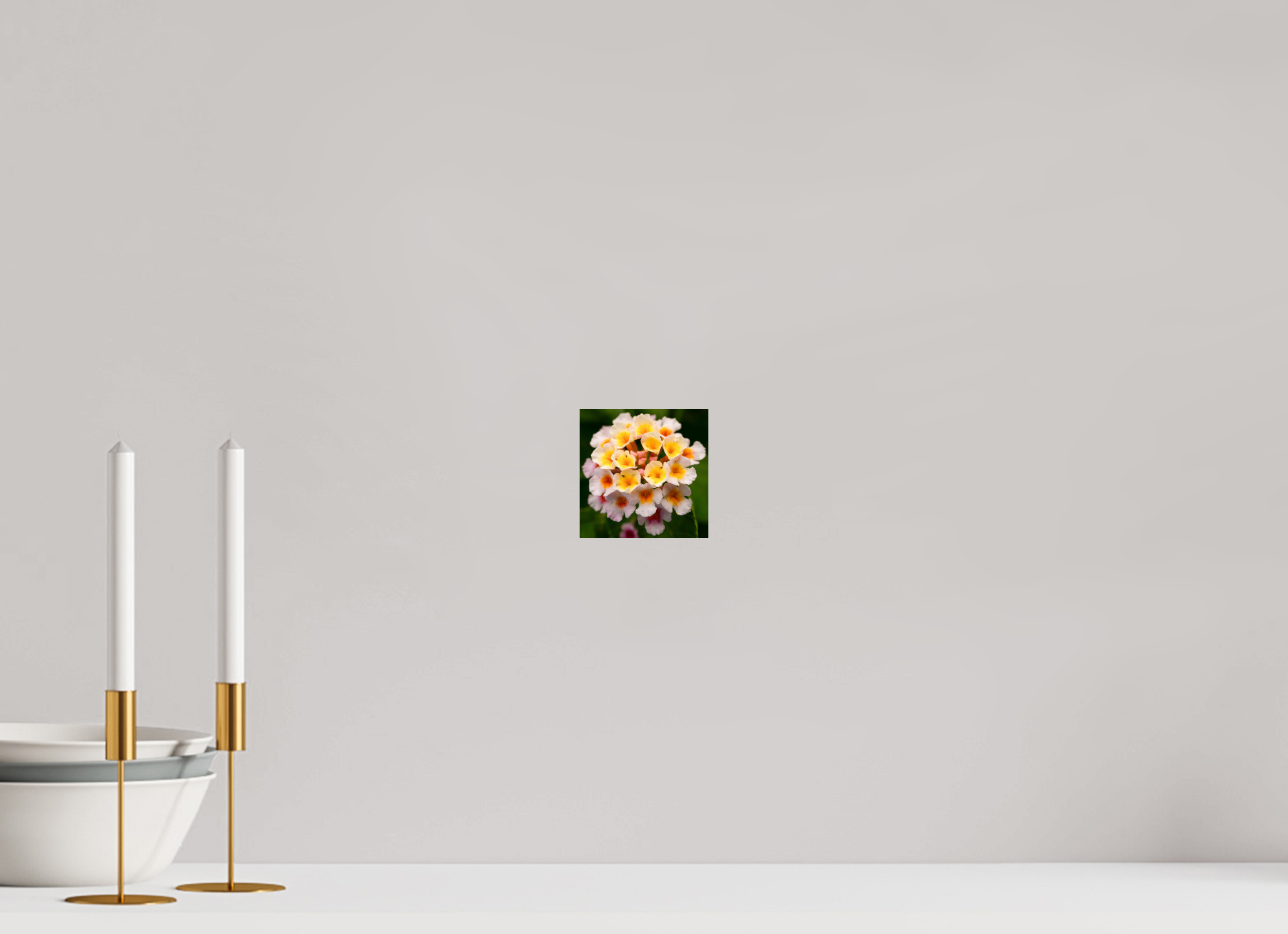 Lantana_light yellow with pale pink_aspect ratio 1x1