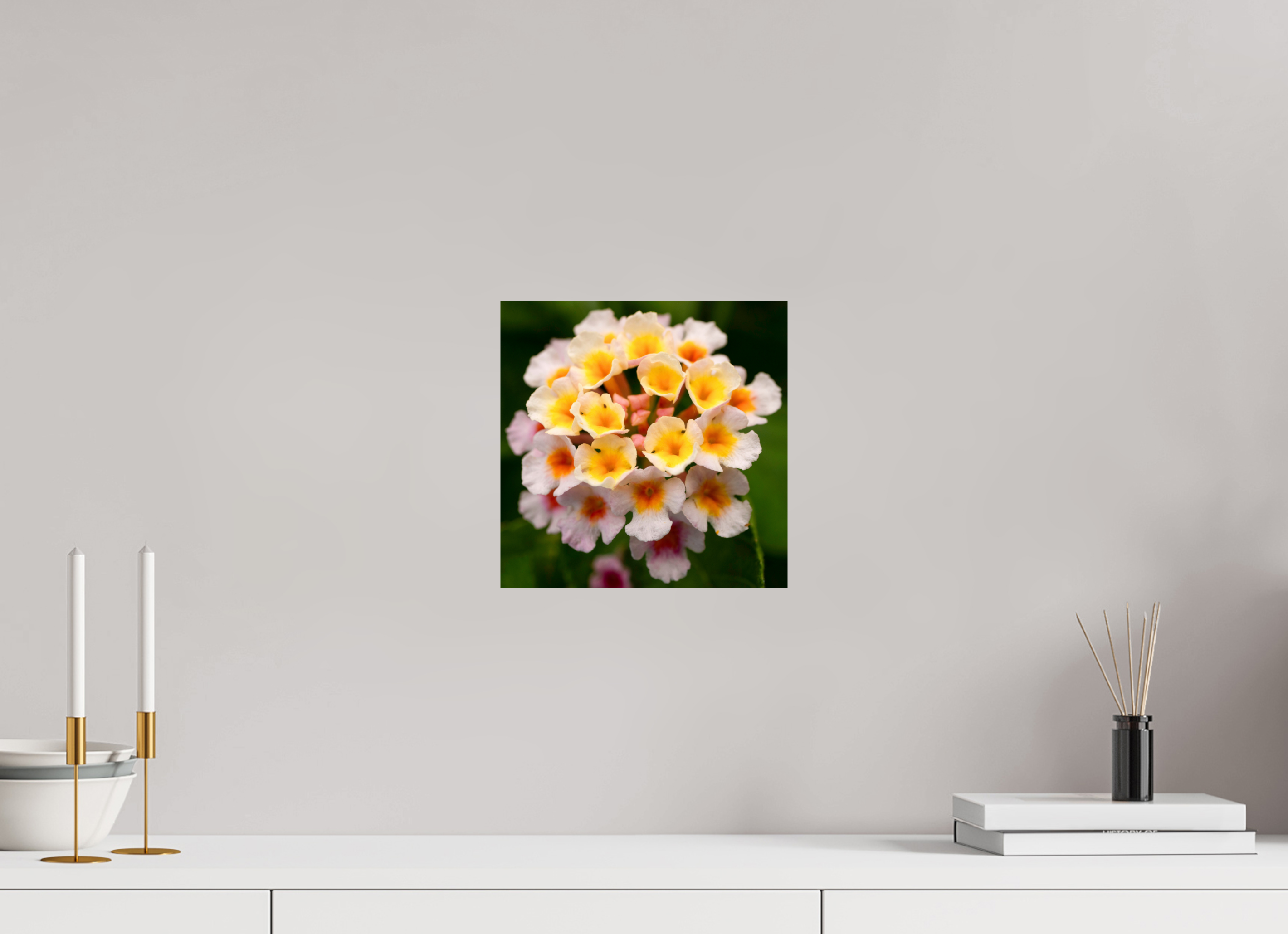 Lantana_light yellow with pale pink_aspect ratio 1x1