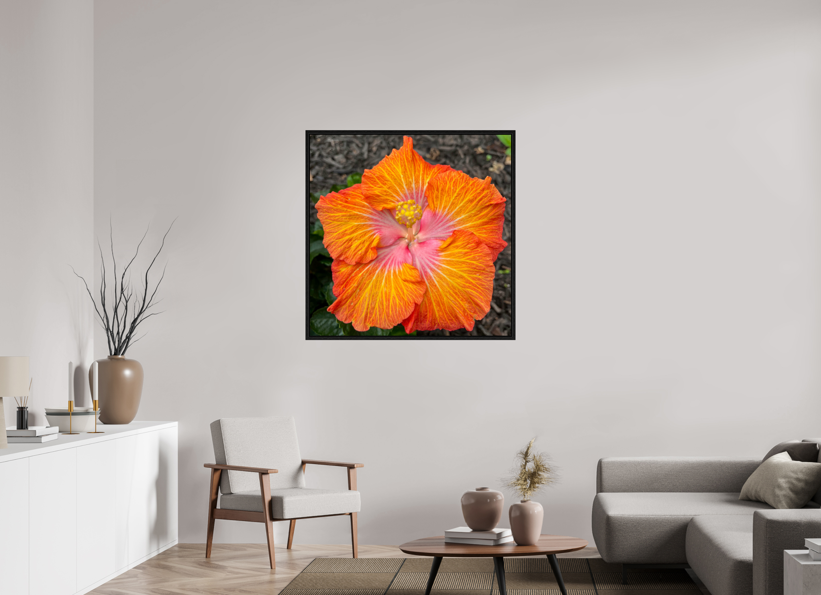 Hibiscus hybrid_bright orange_aspect ratio 1:1