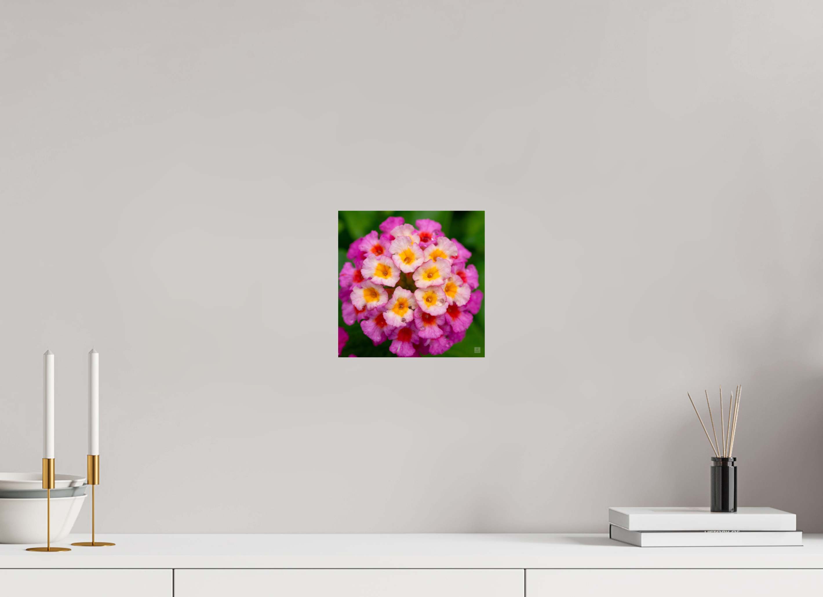 Lantana_deep pink with yellow_water droplets_aspect ratio 1x1