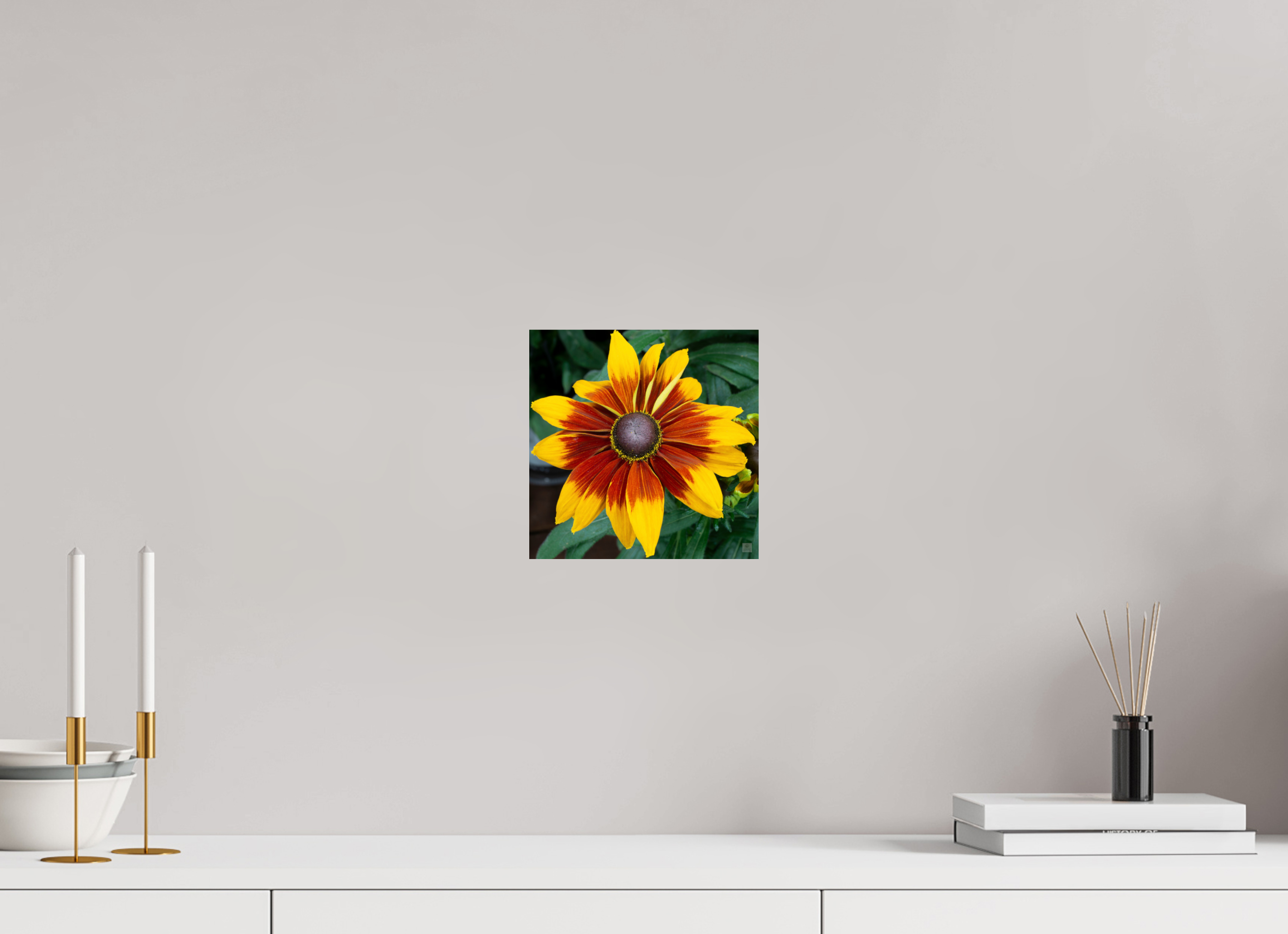 Rudbeckia_yellow with red center_aspect ratio 1x1