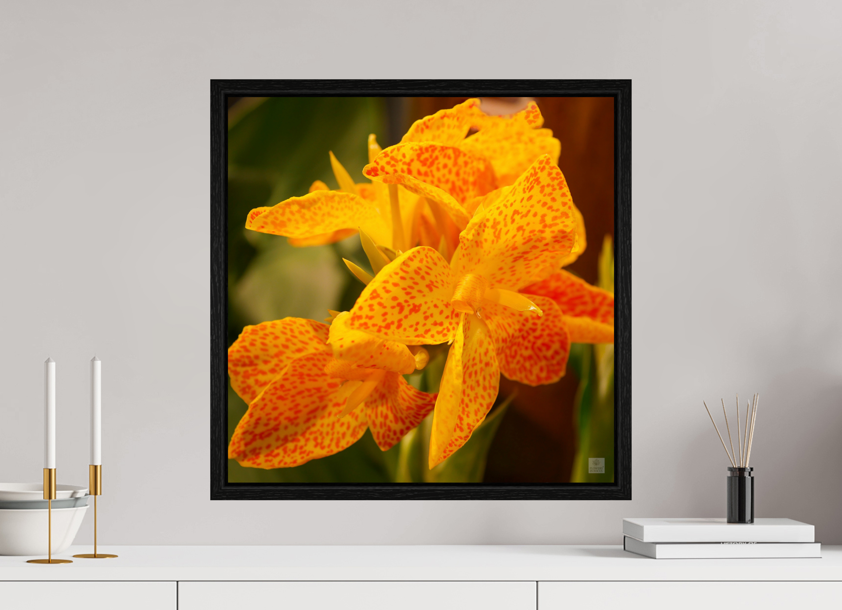 Canna lily_orange & yellow_aspect ratio 1:1