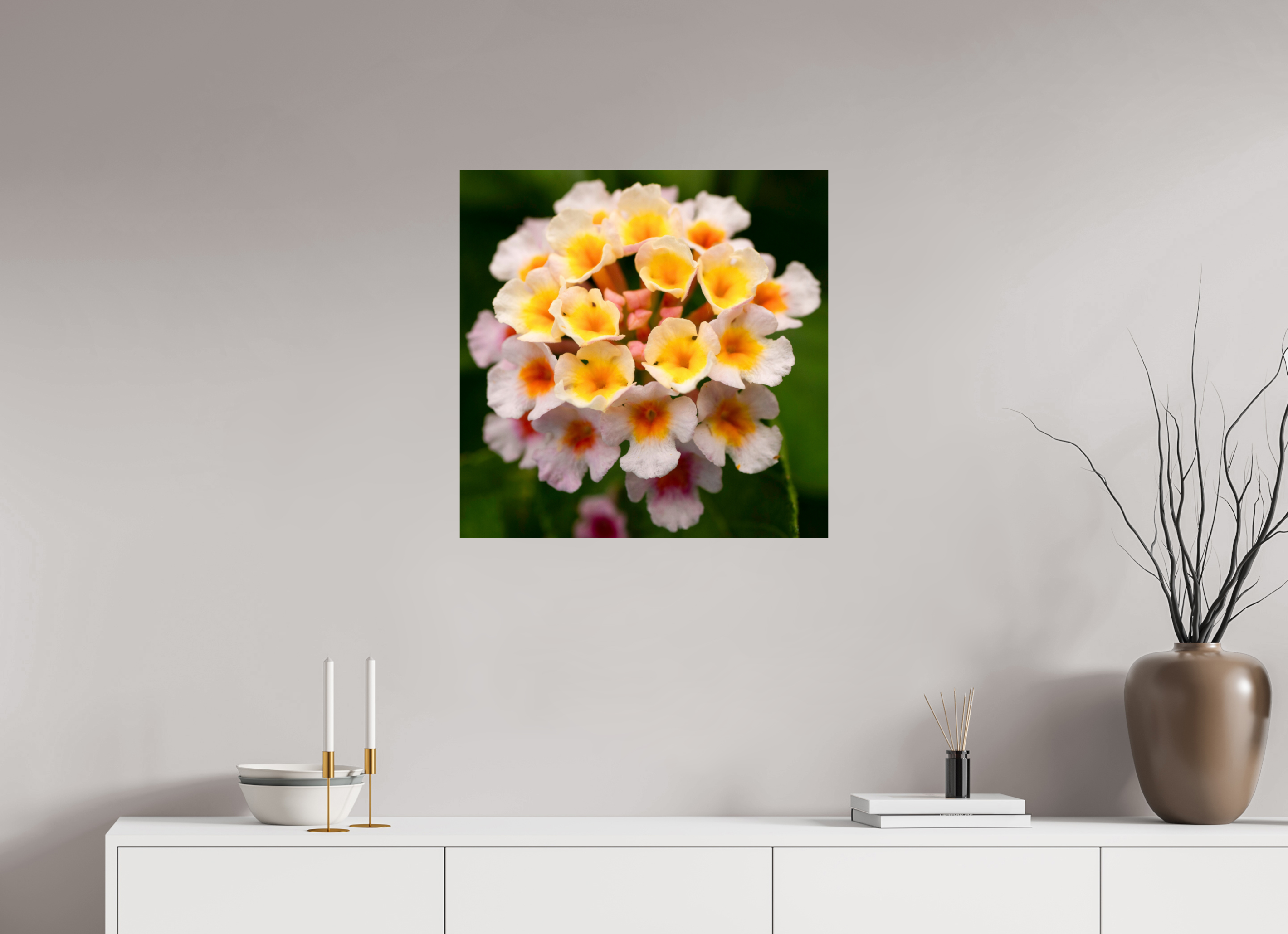 Lantana_light yellow with pale pink_aspect ratio 1x1