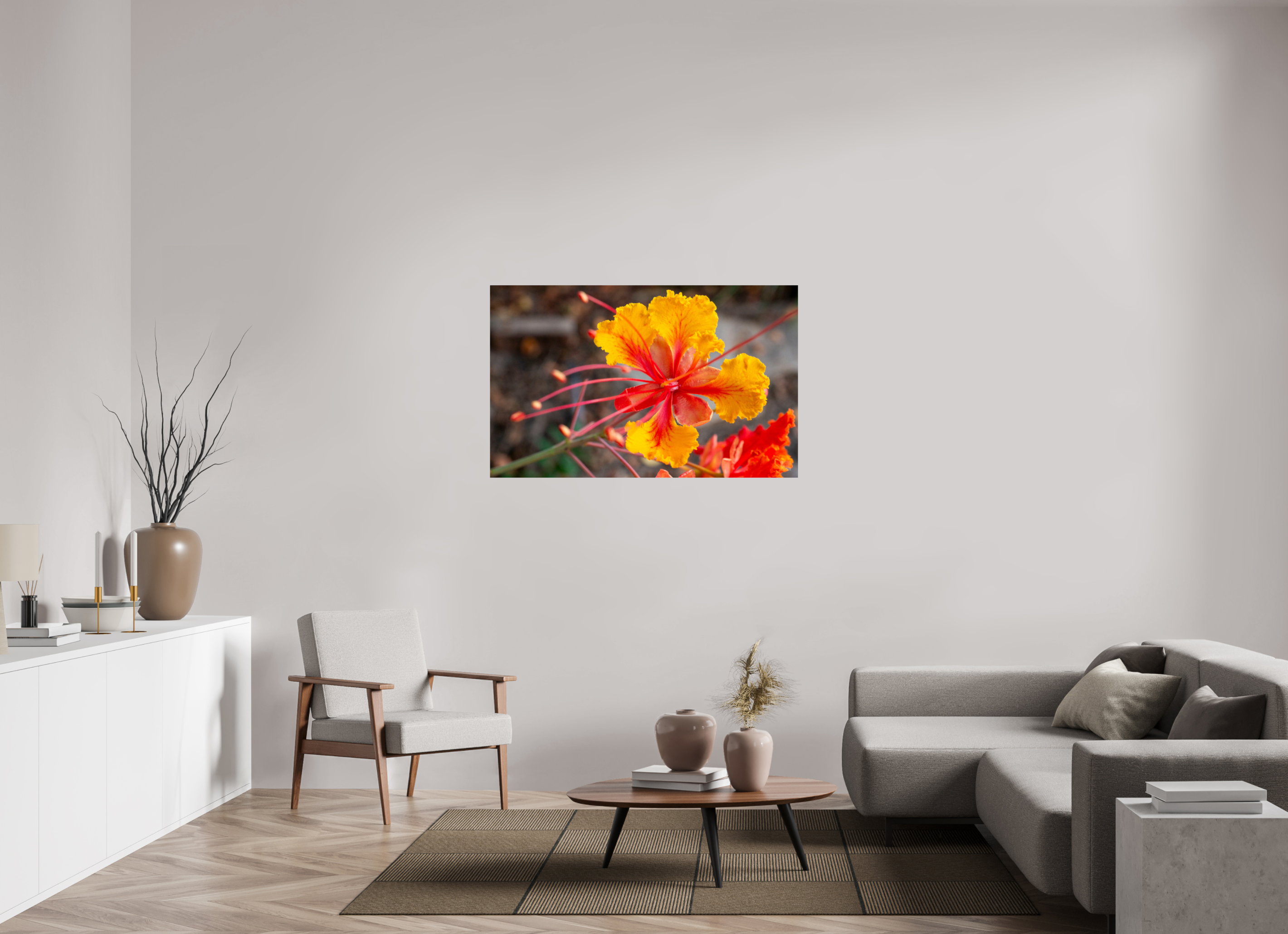 Pride of Barbados_yellow with orange_aspect ratio 16x10