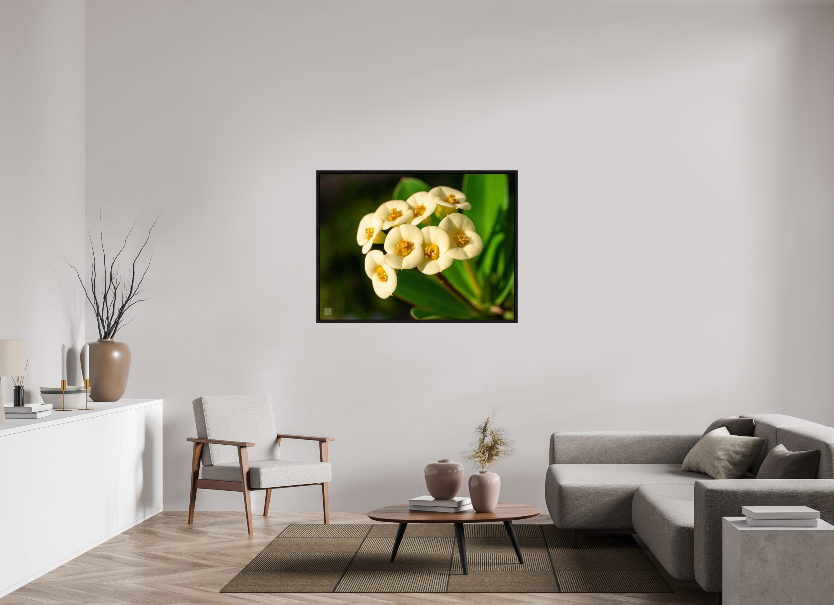 Crown of Thorns_flower group_aspect ratio 4:3