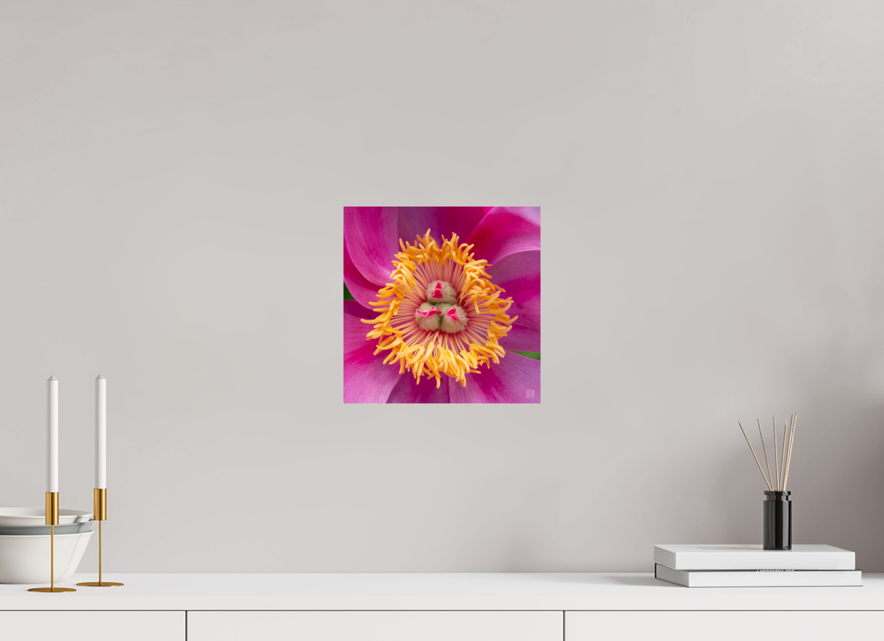 Peony_pink_center-2_aspect ratio 1x1