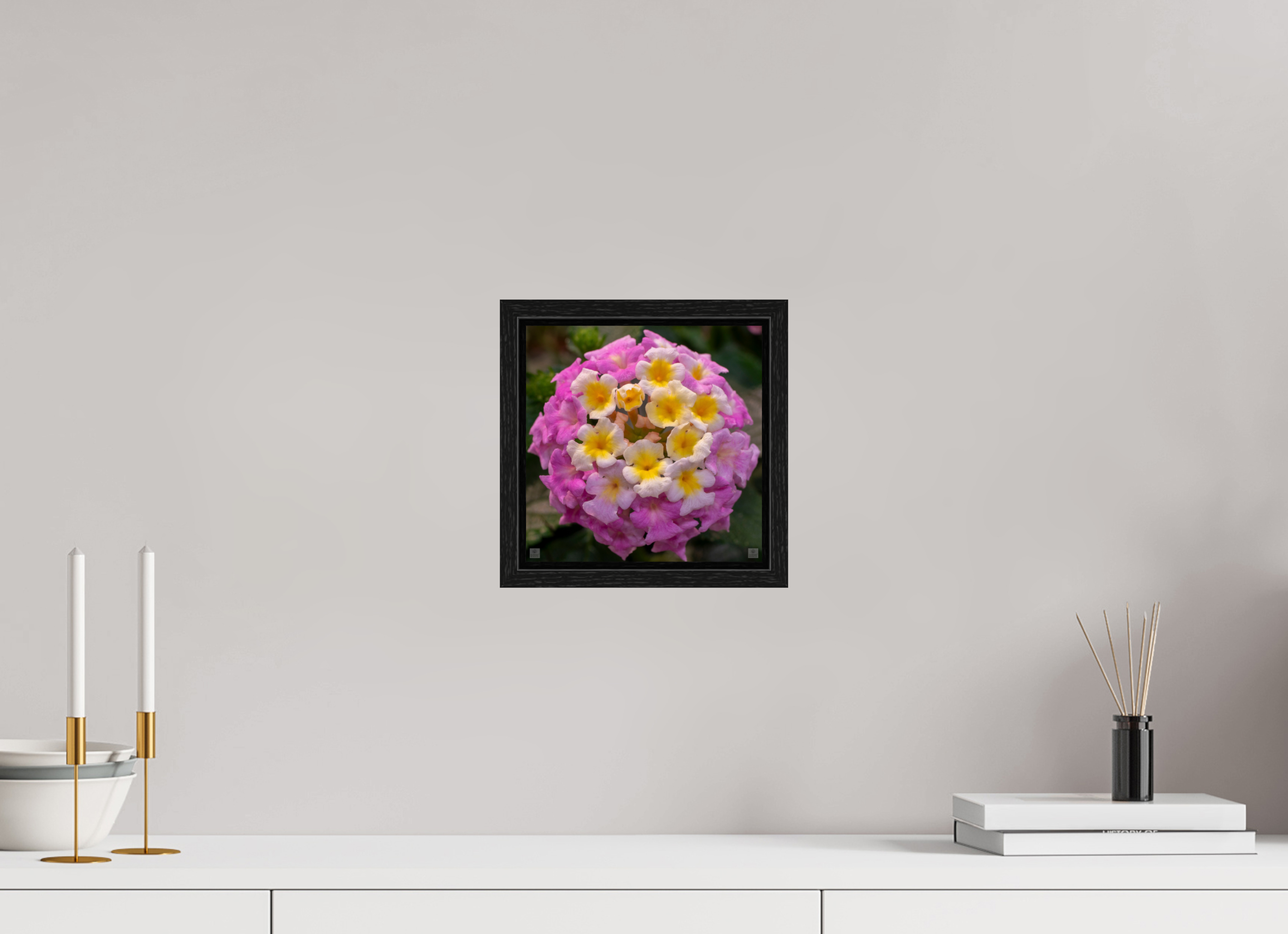 Lantana_deep pink with yellow_aspect ratio 1x1