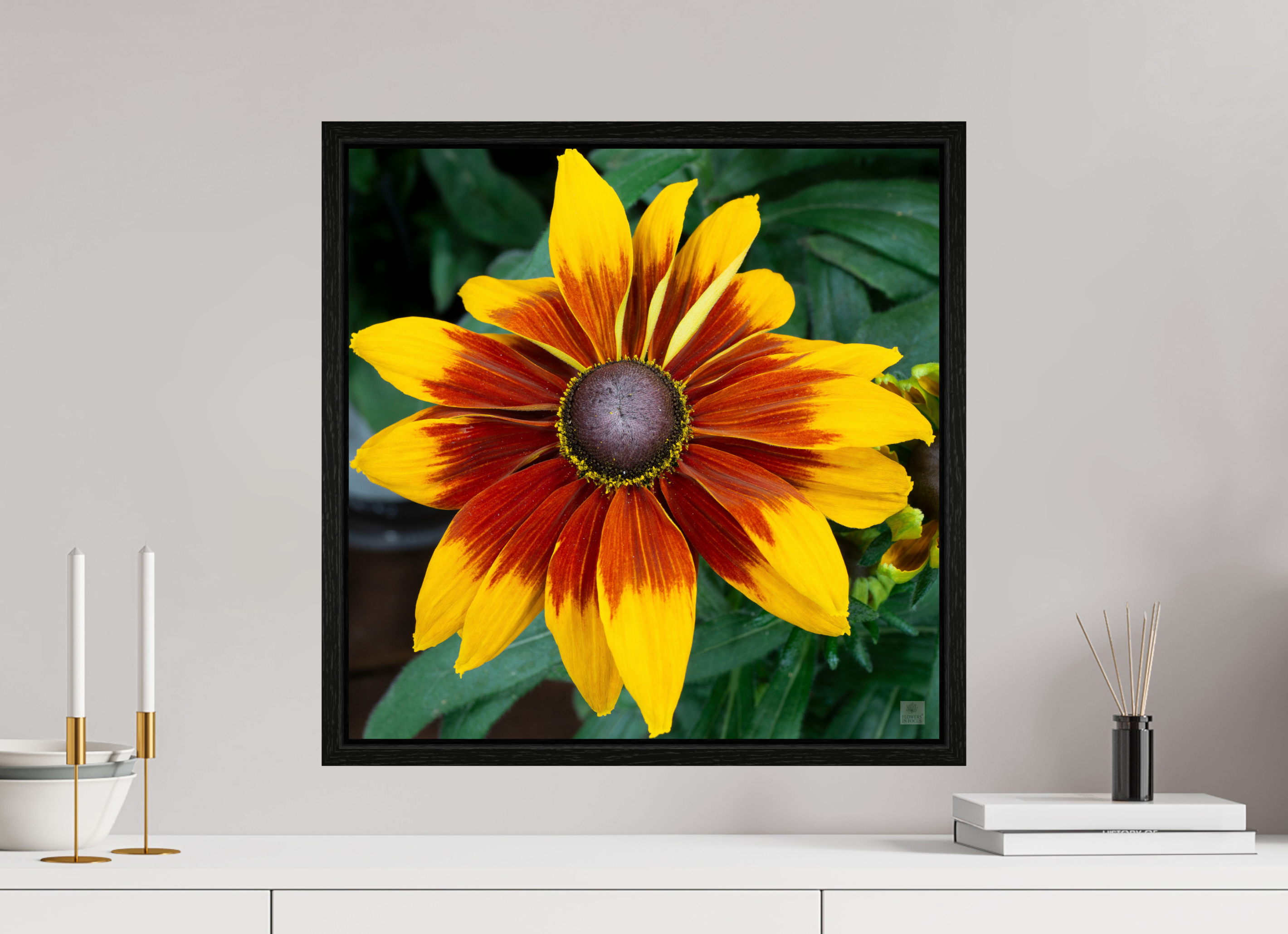 Rudbeckia_yellow with red center_aspect ratio 1x1
