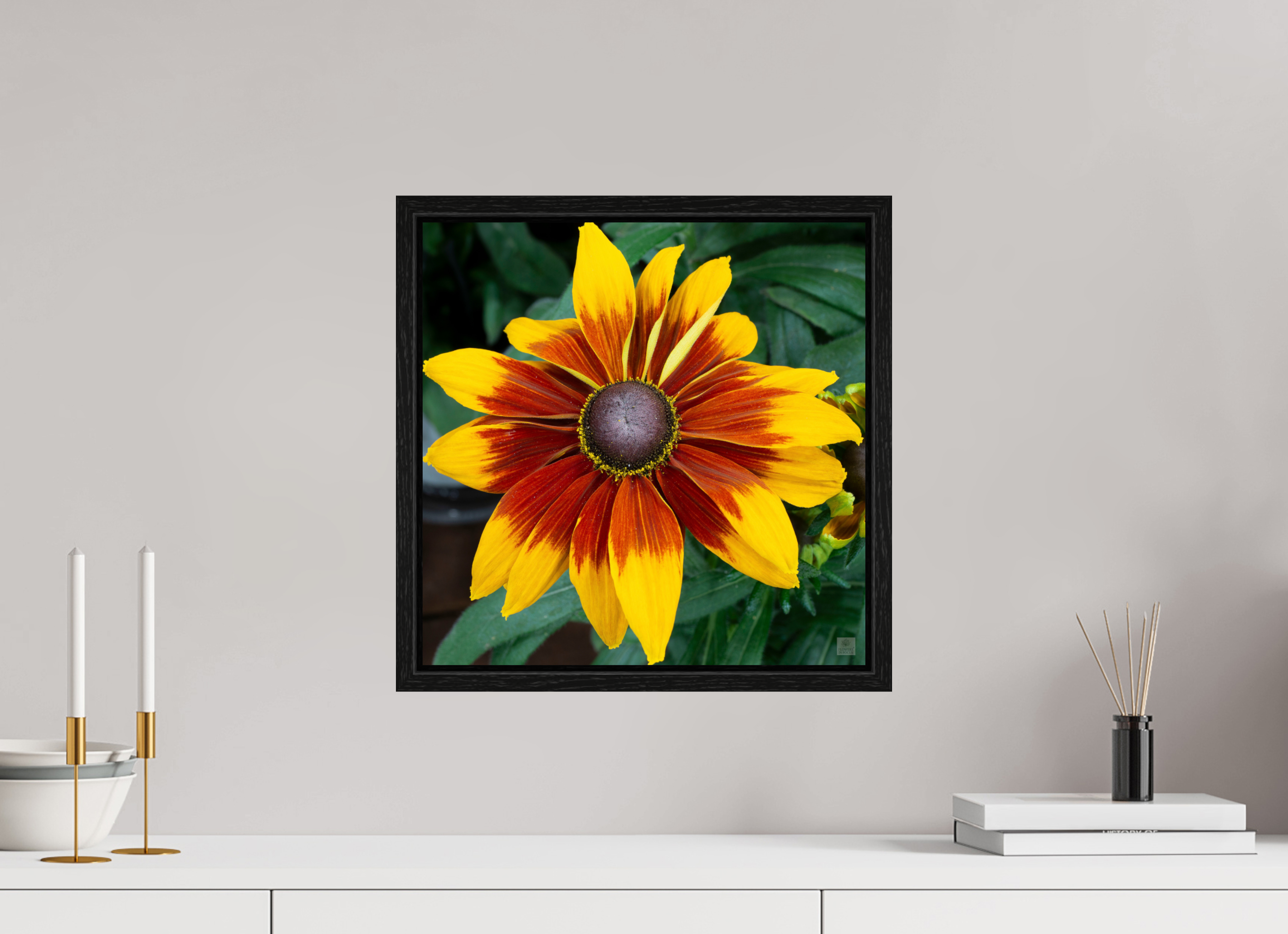 Rudbeckia_yellow with red center_aspect ratio 1x1
