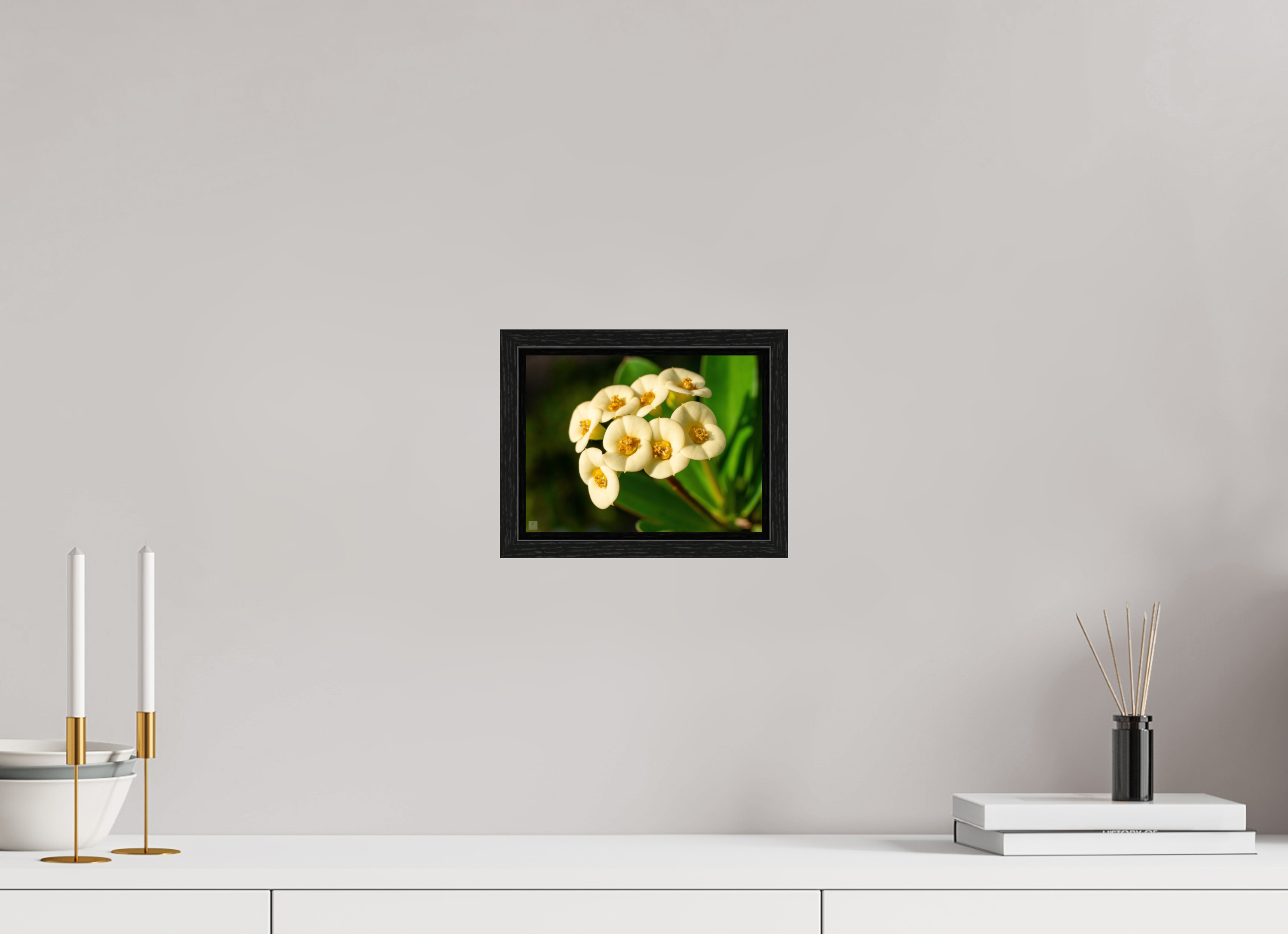 Crown of Thorns_flower group_aspect ratio 4:3