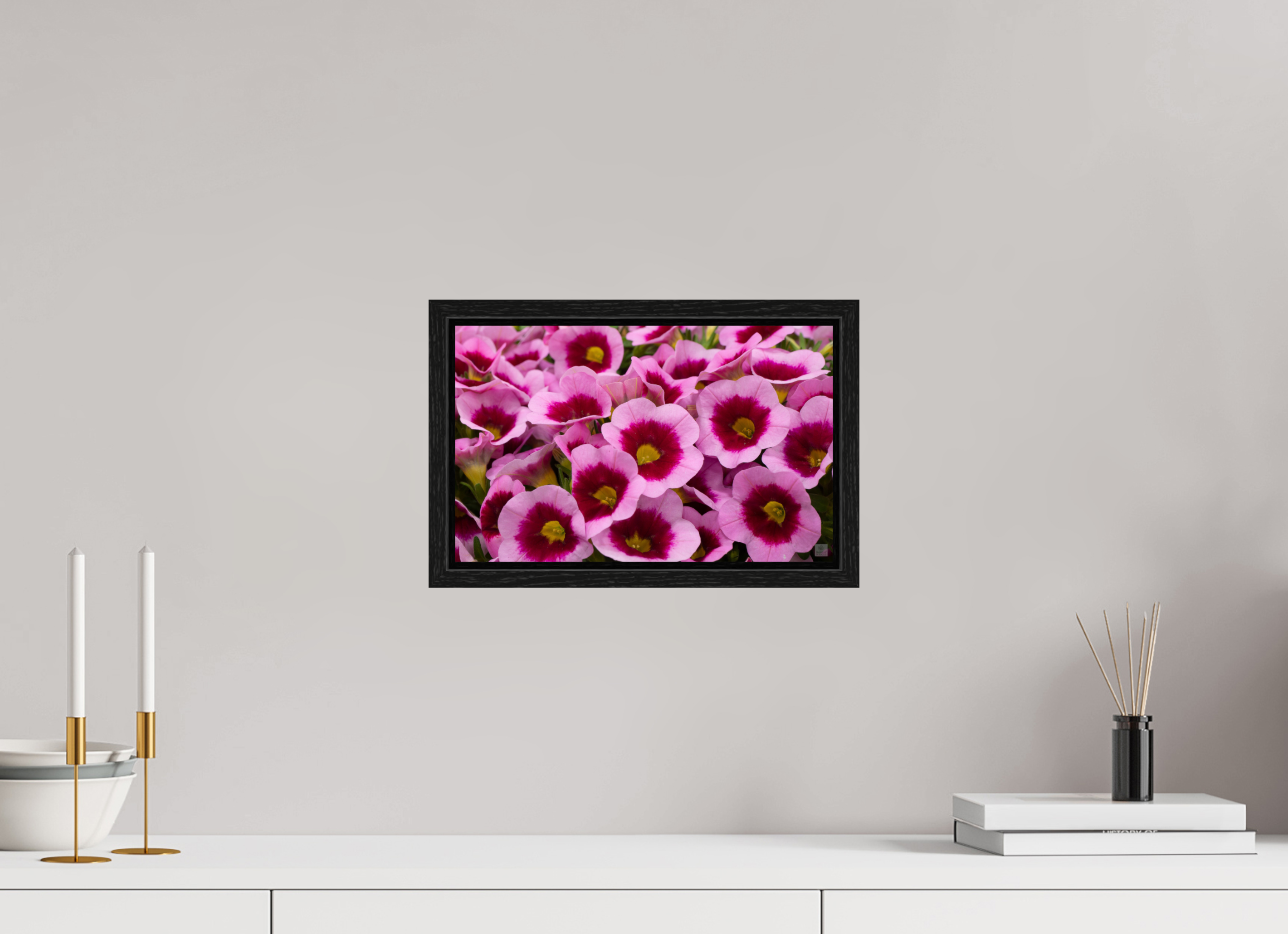 Calibrachoa_pink & purple_aspect ratio 16:10