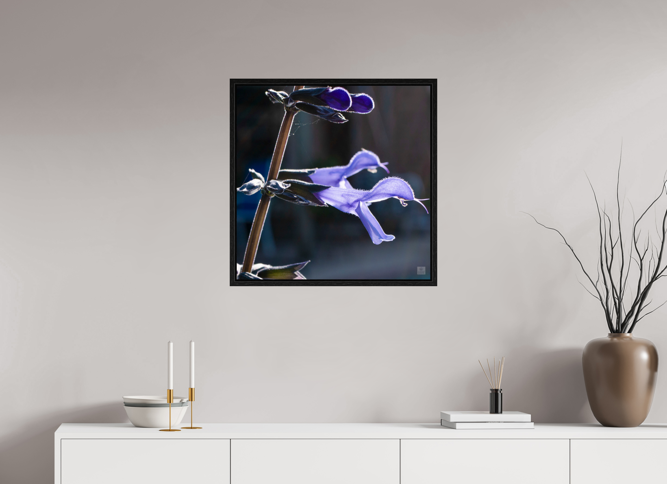 Blue black sage_group_aspect ratio 1x1