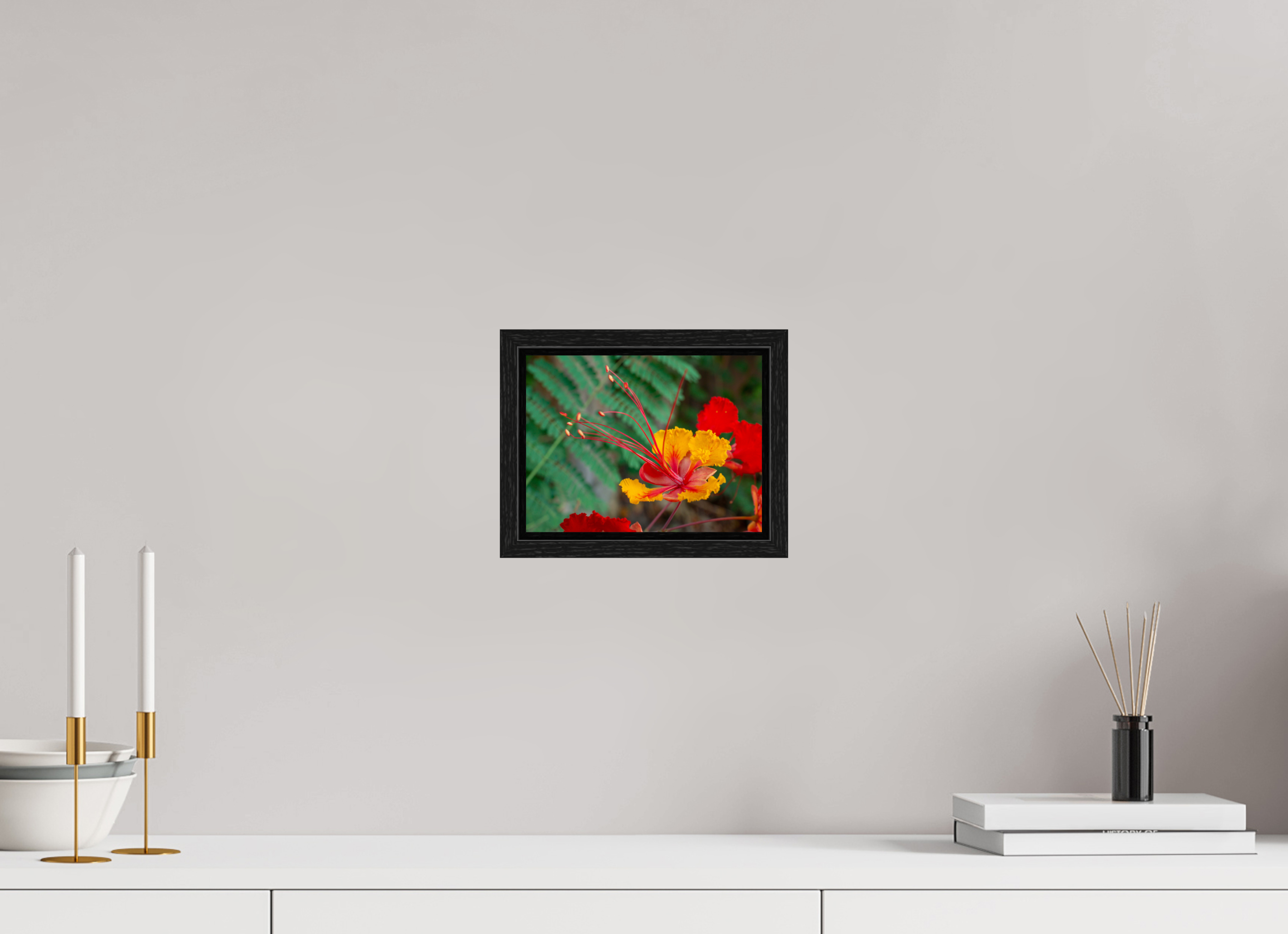 Pride of Barbados_yellow with orange_aspect ratio 4x3