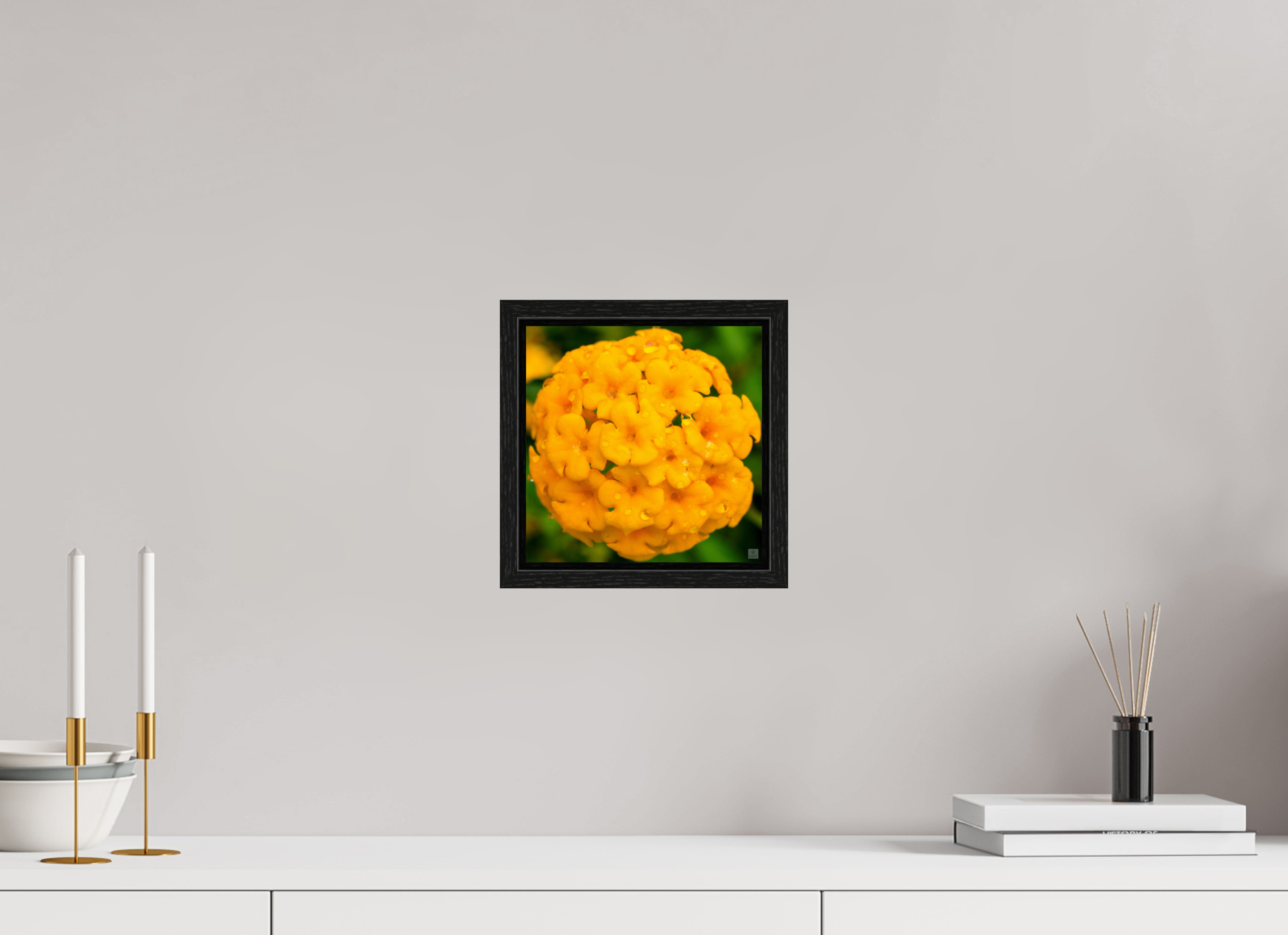 Lantana hybrid_yellow (with water droplets)_aspect ration 1x1