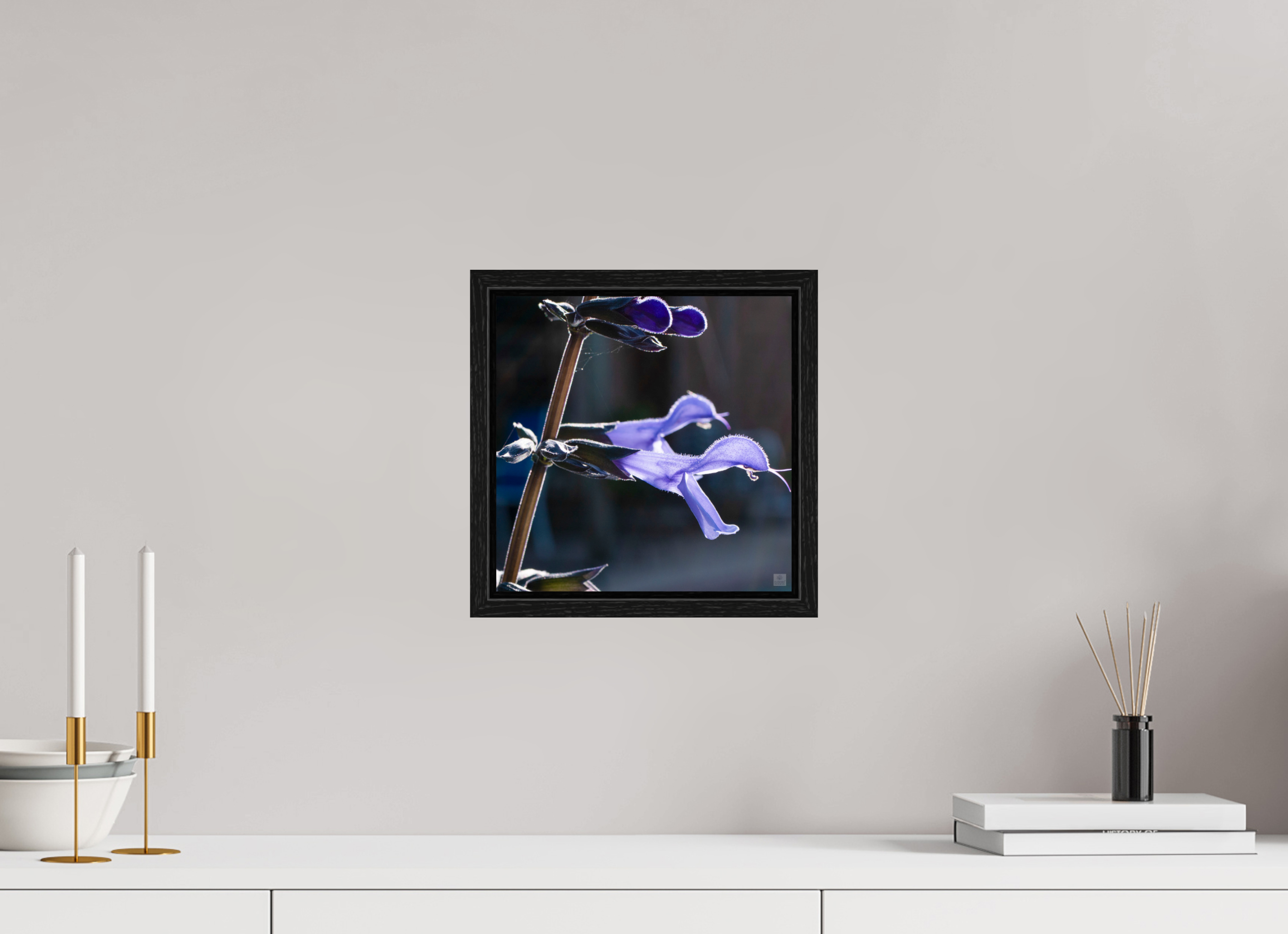 Blue black sage_group_aspect ratio 1x1