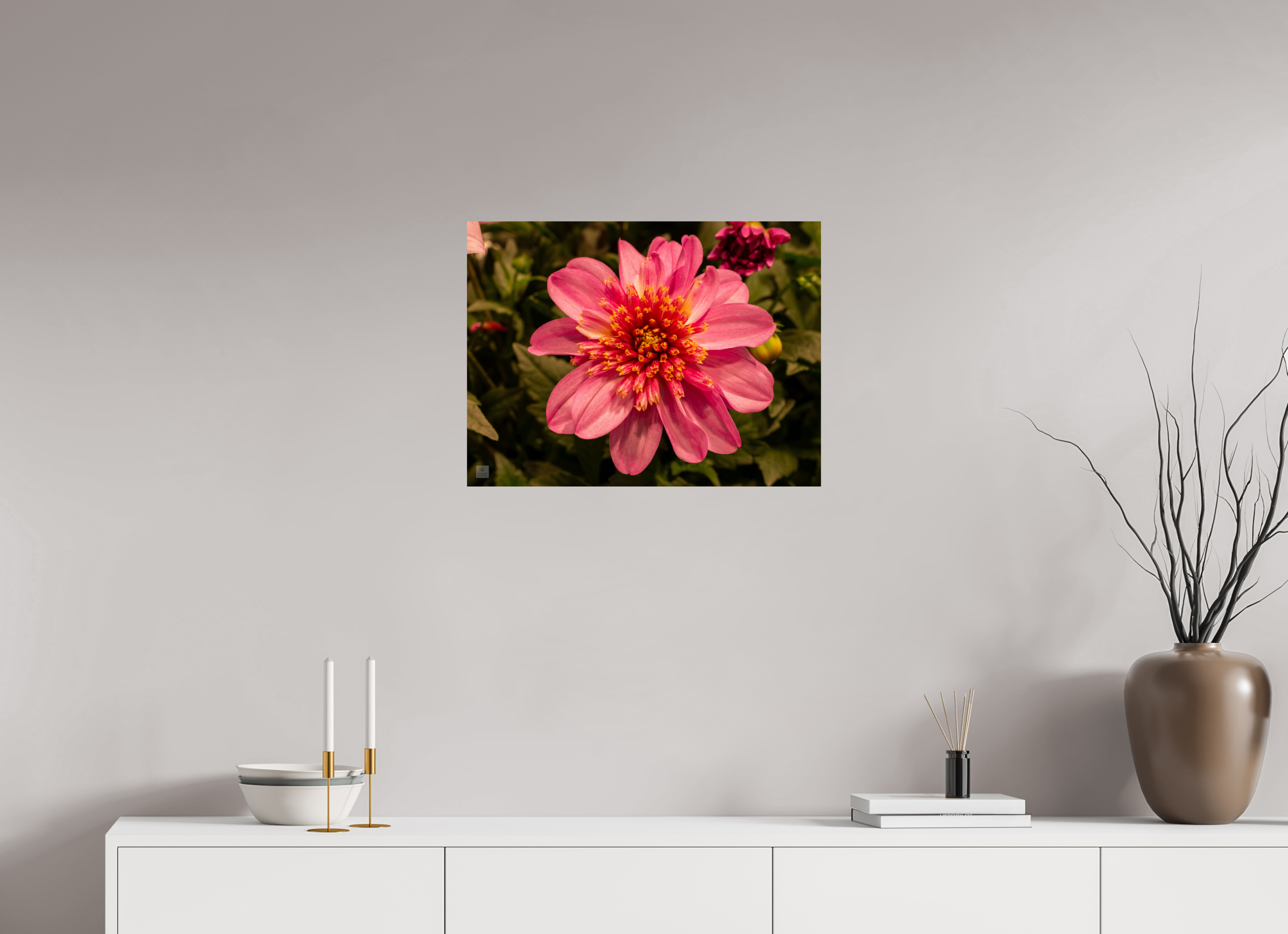 Dahlia_pink with yellow trim_aspect ratio 4:3