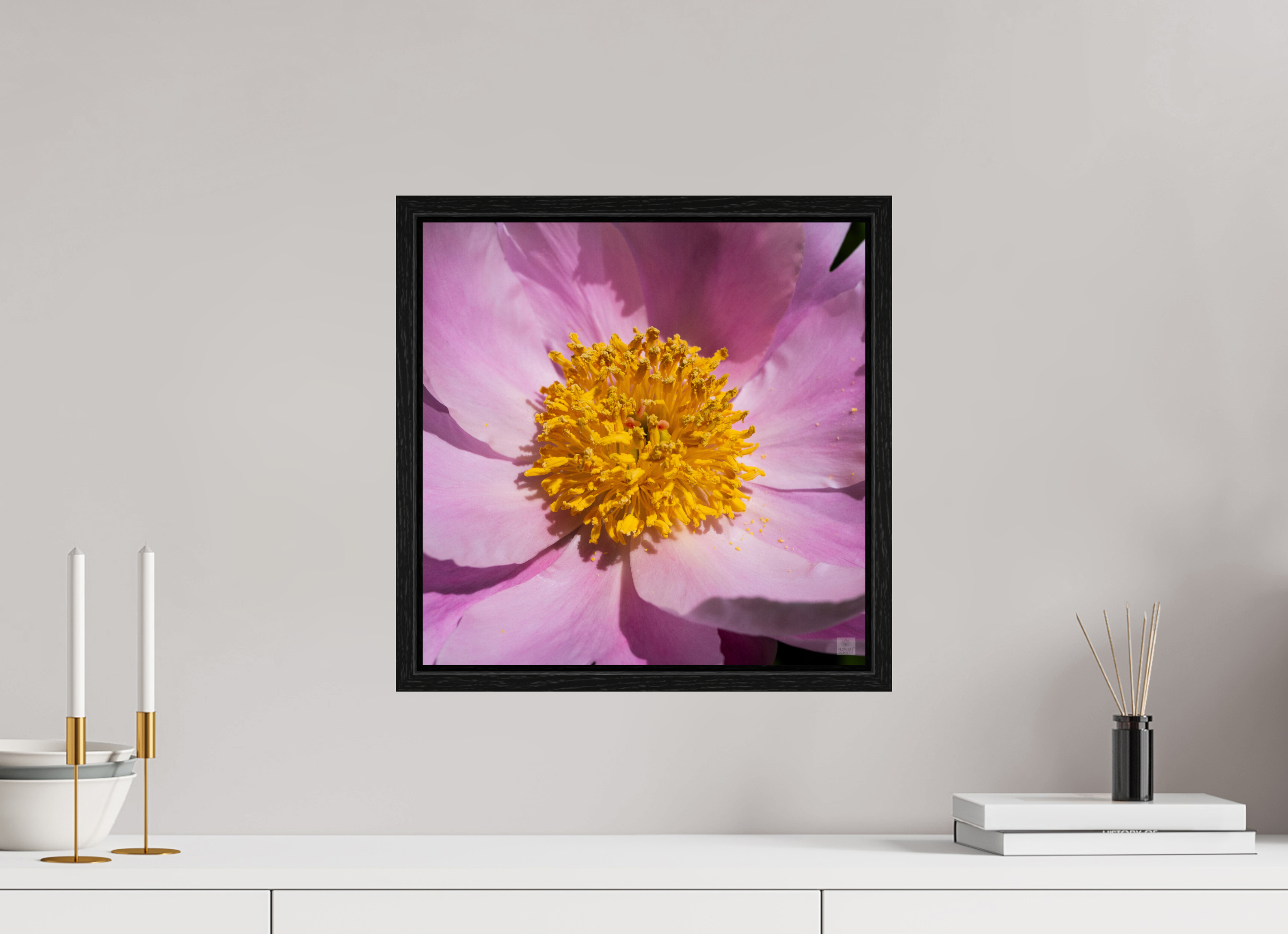Peony_light pink close-up_aspect ratio 1x1
