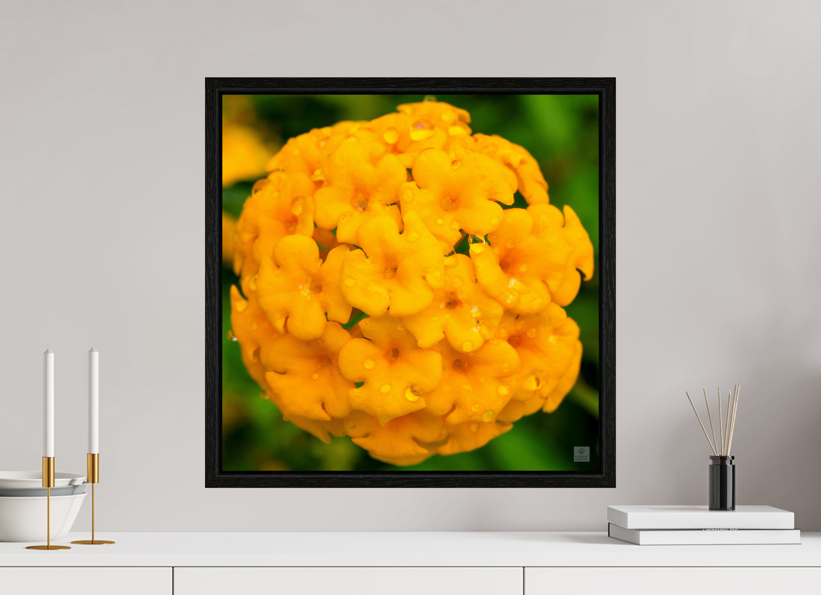 Lantana hybrid_yellow (with water droplets)_aspect ration 1x1