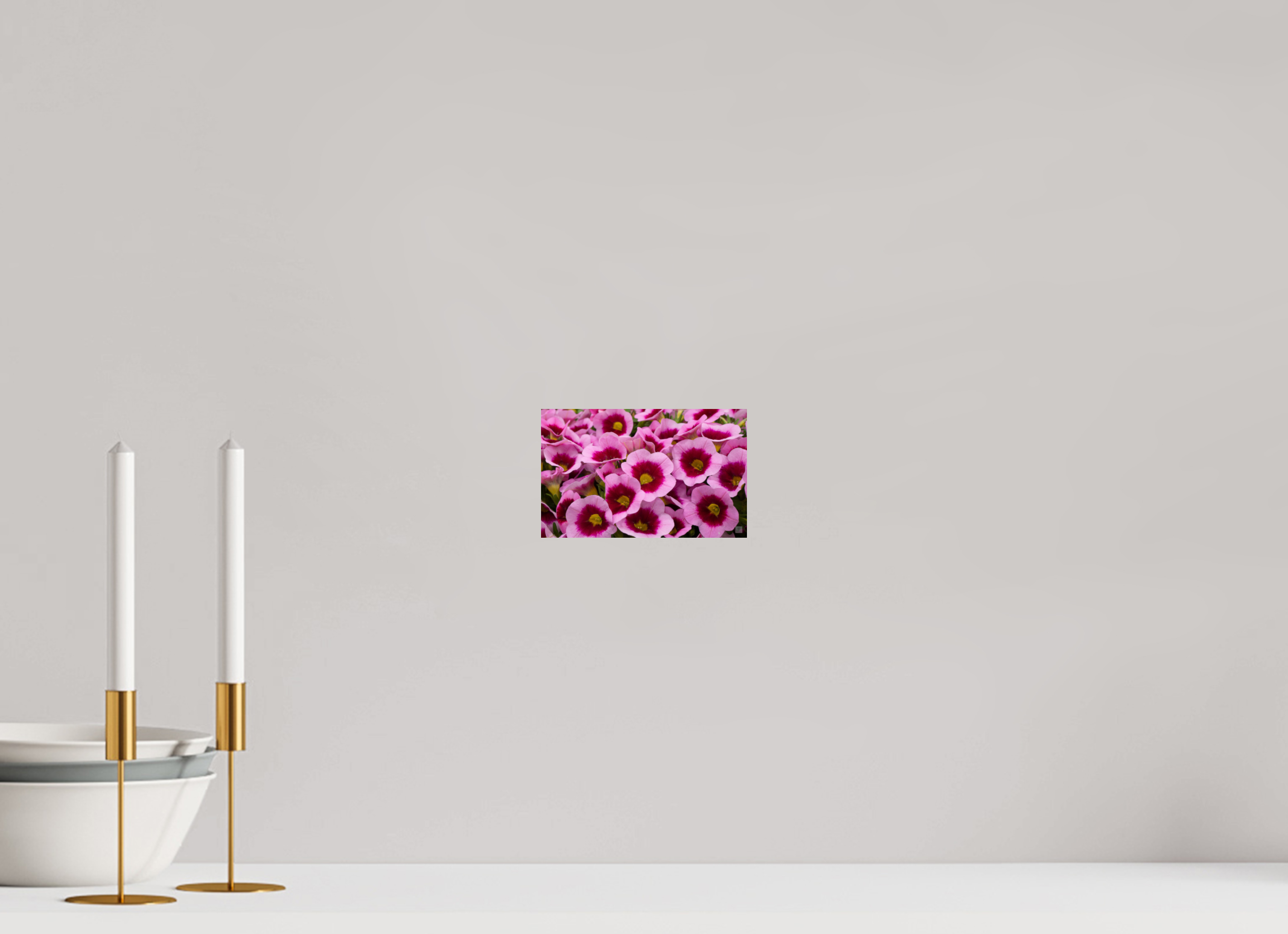 Calibrachoa_pink & purple_aspect ratio 16:10
